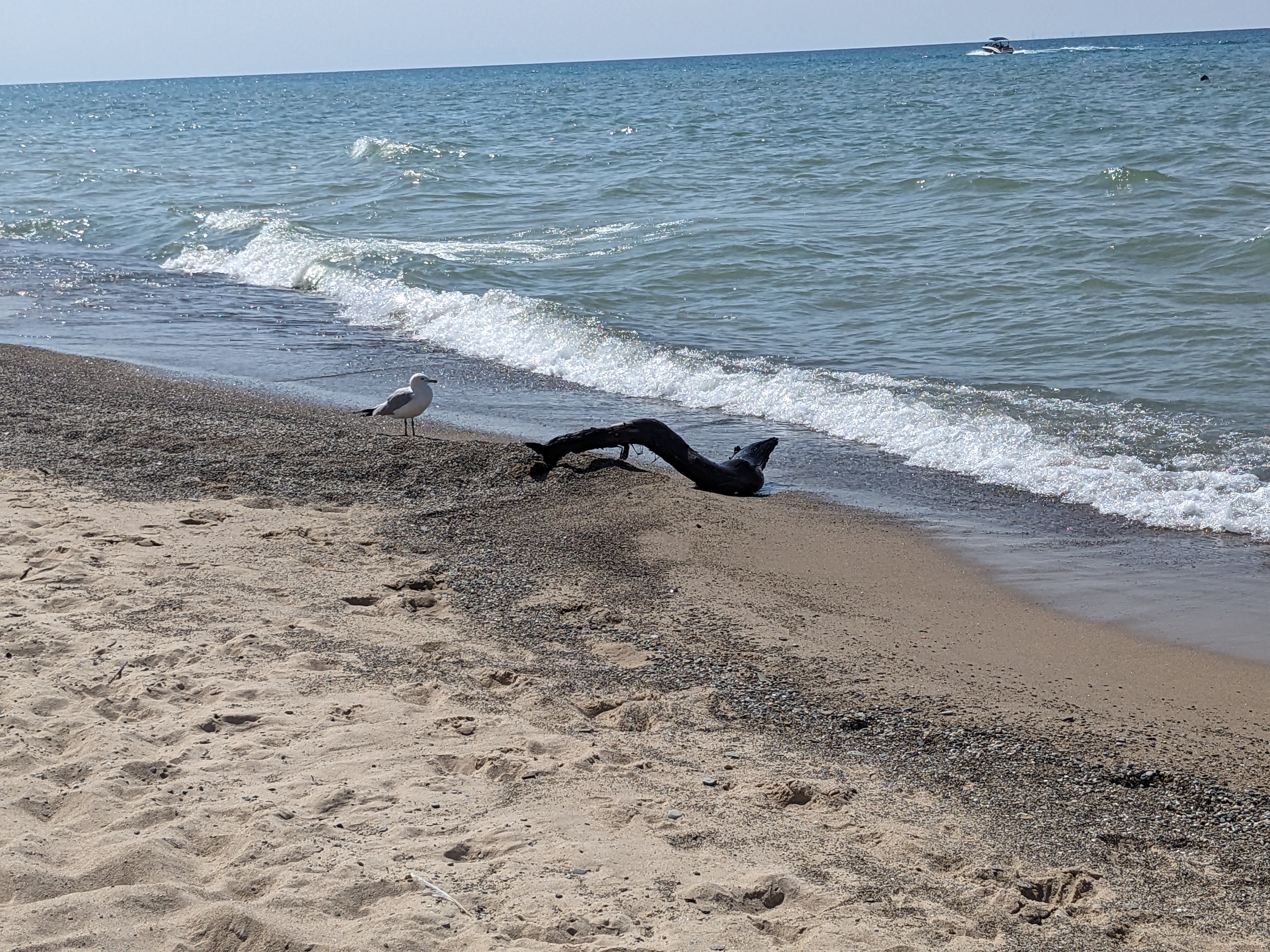 PXL 20230718 201930234