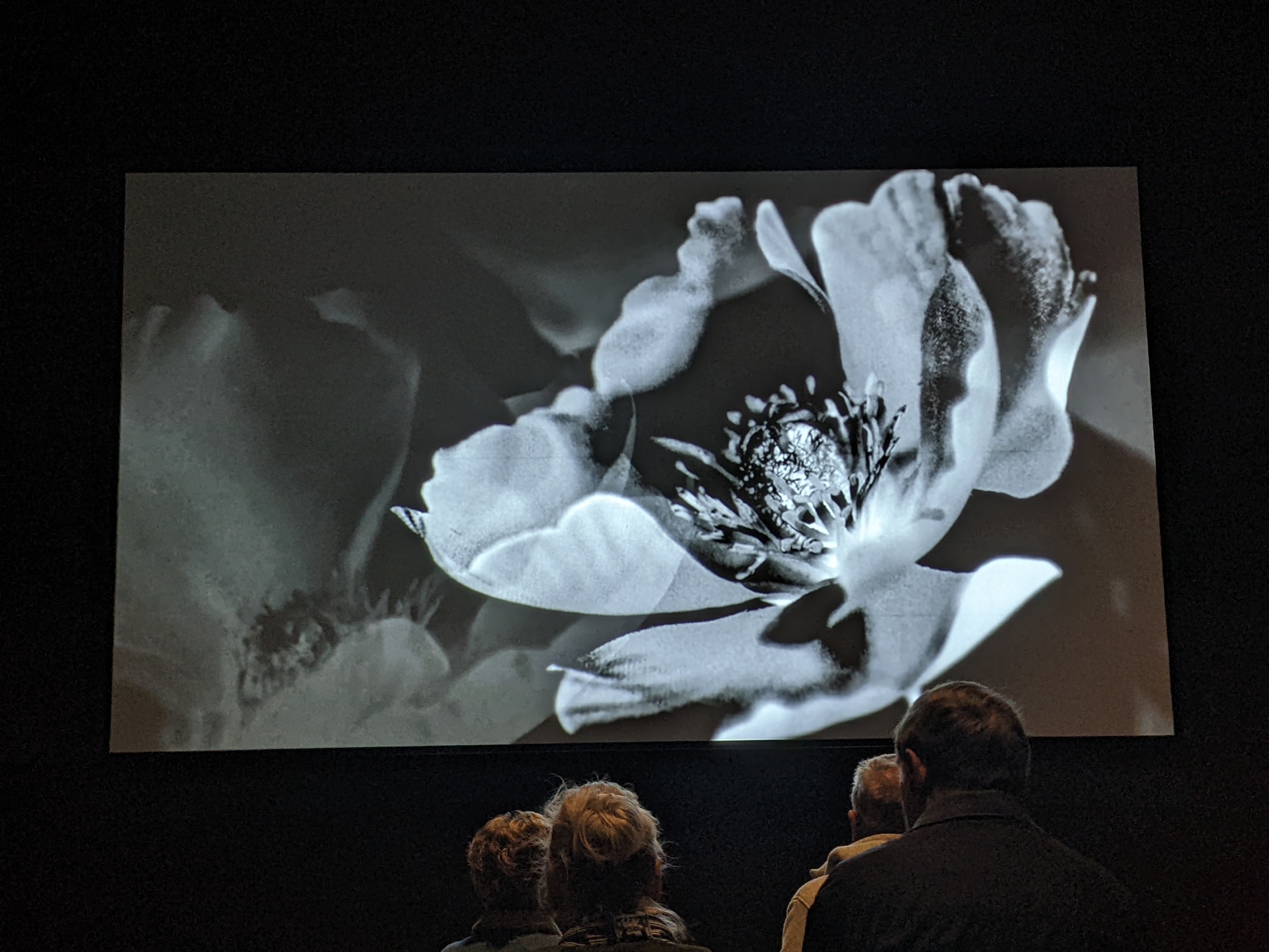 PXL 20220331 153616277