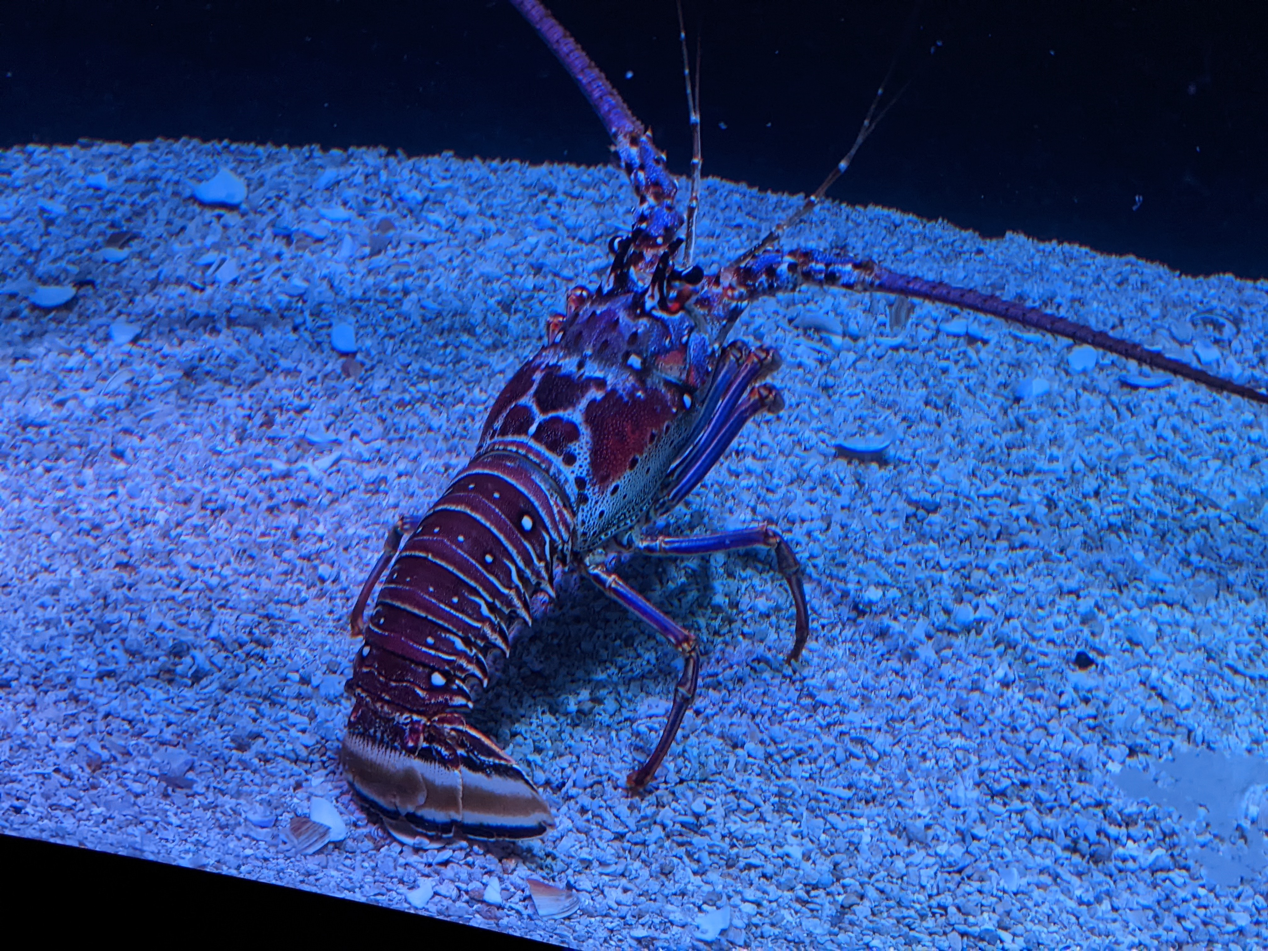 PXL 20220331 191727131