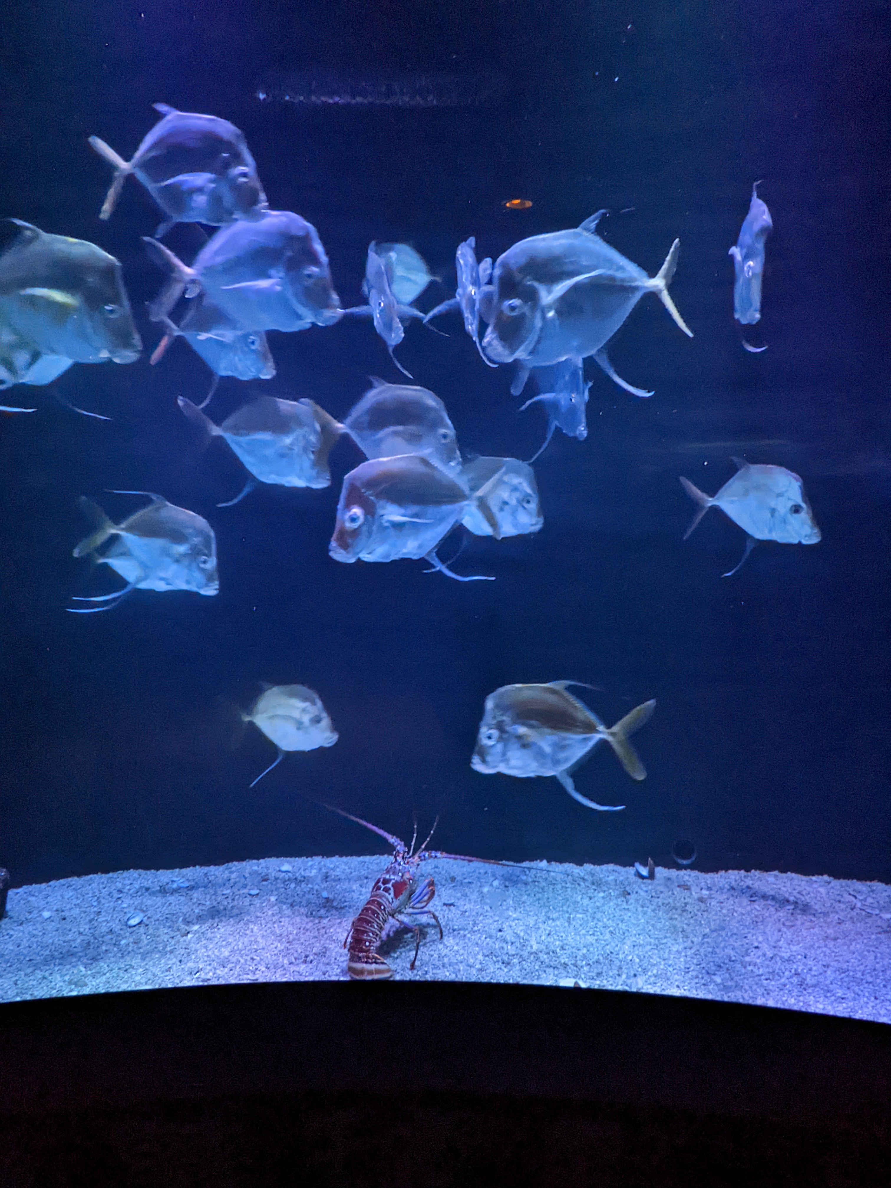 PXL 20220331 191735507