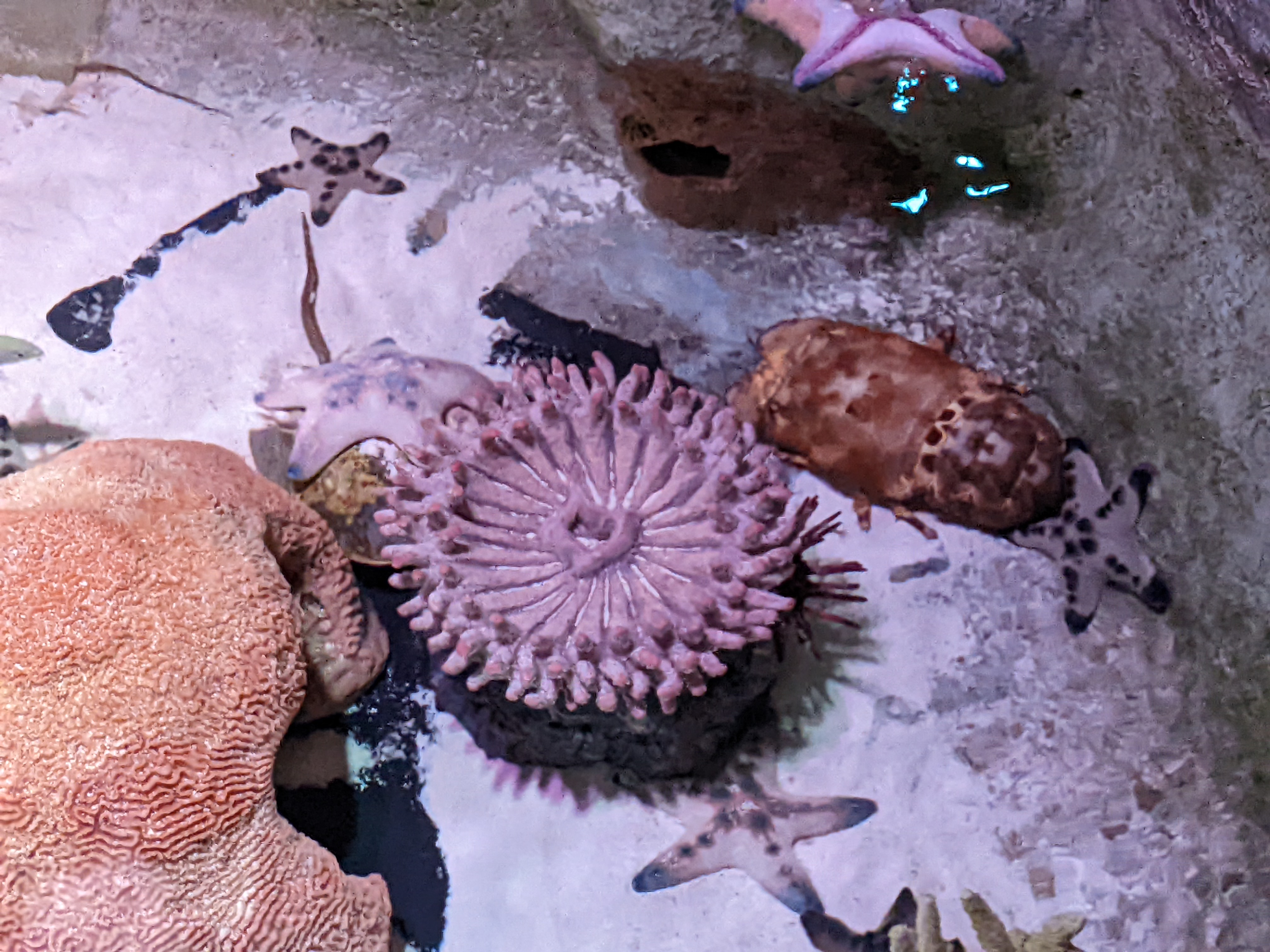 PXL 20220331 192227520