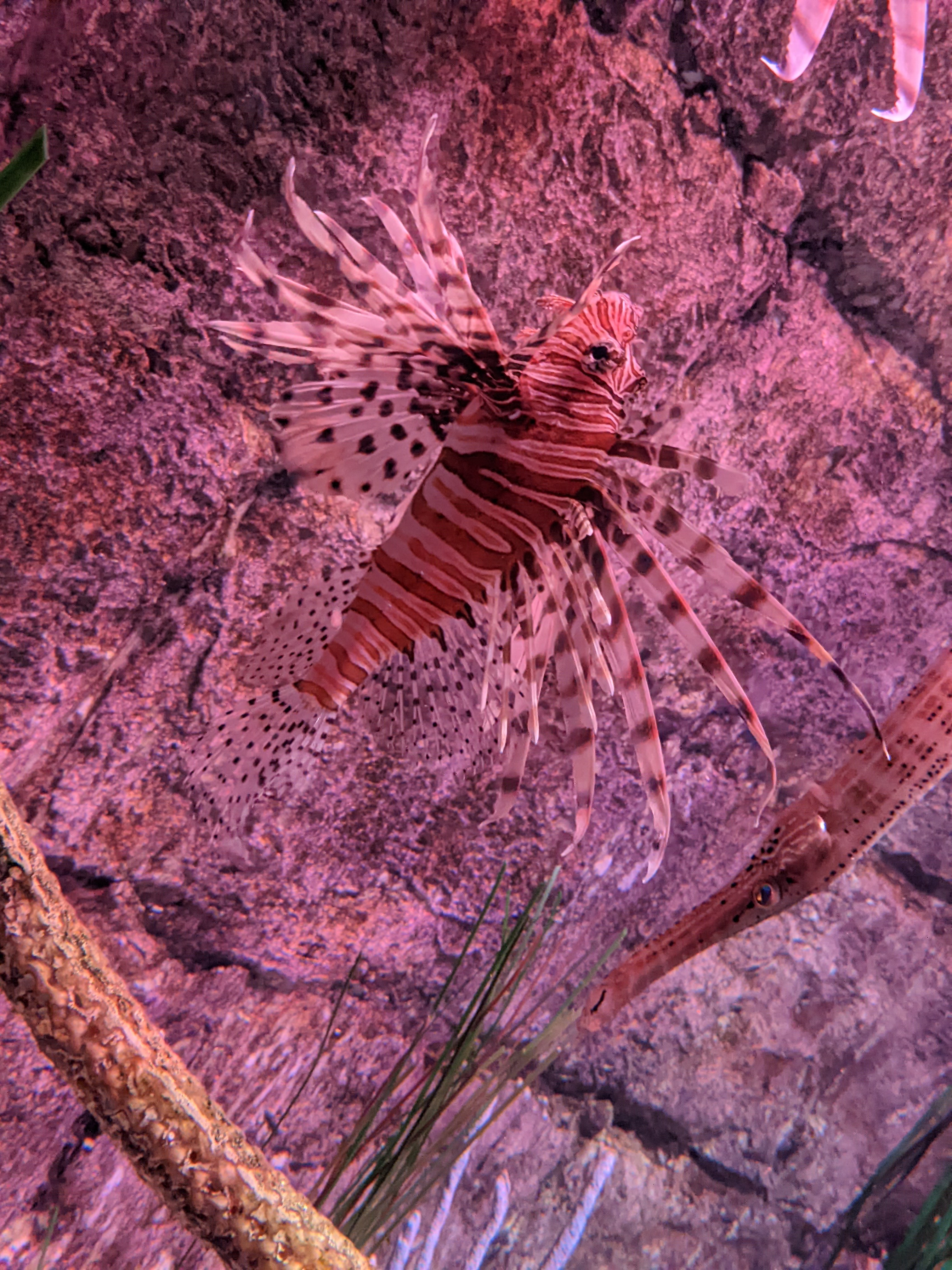 PXL 20220331 193037239