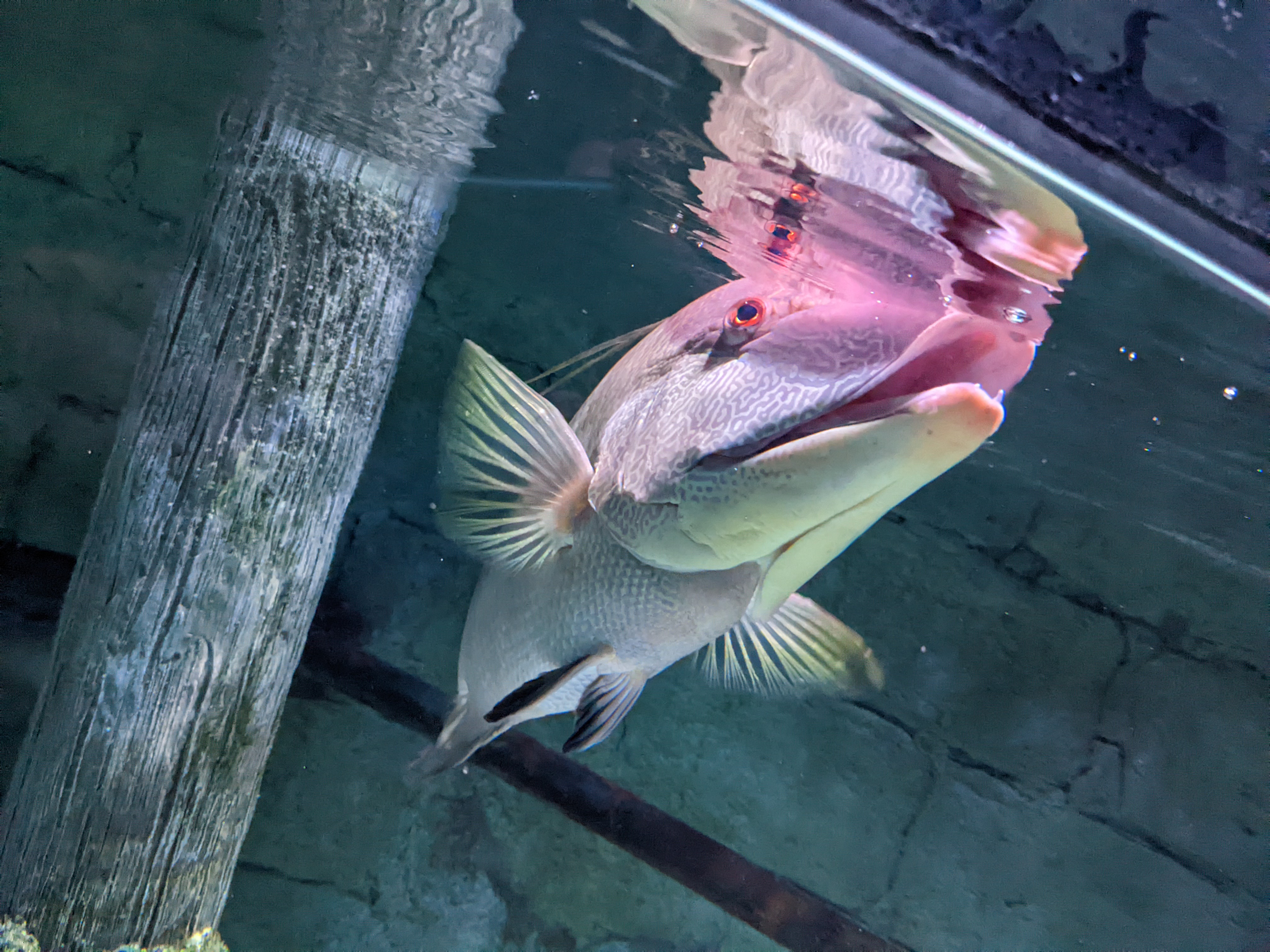 PXL 20220331 193159346