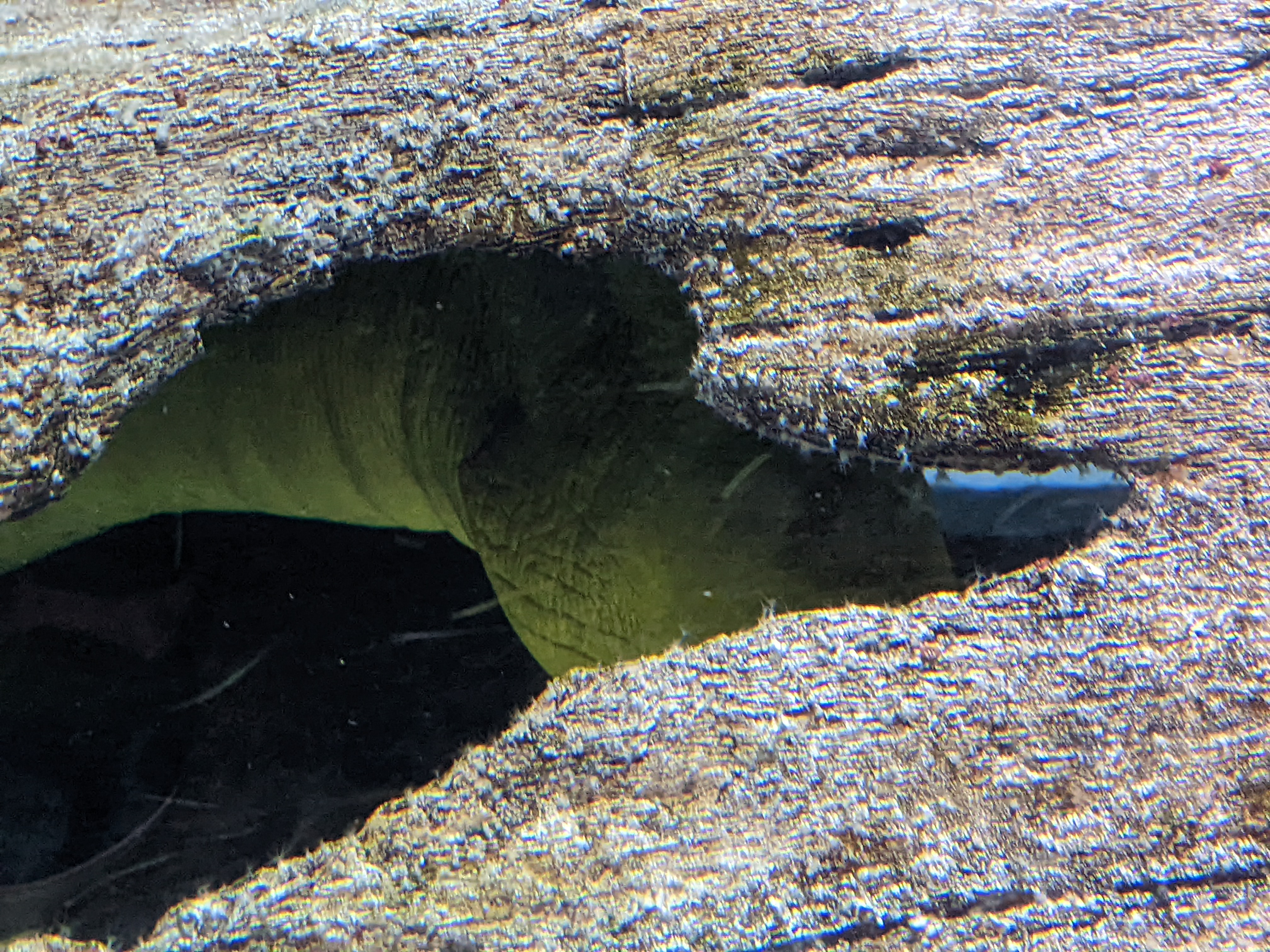 PXL 20220331 193317907