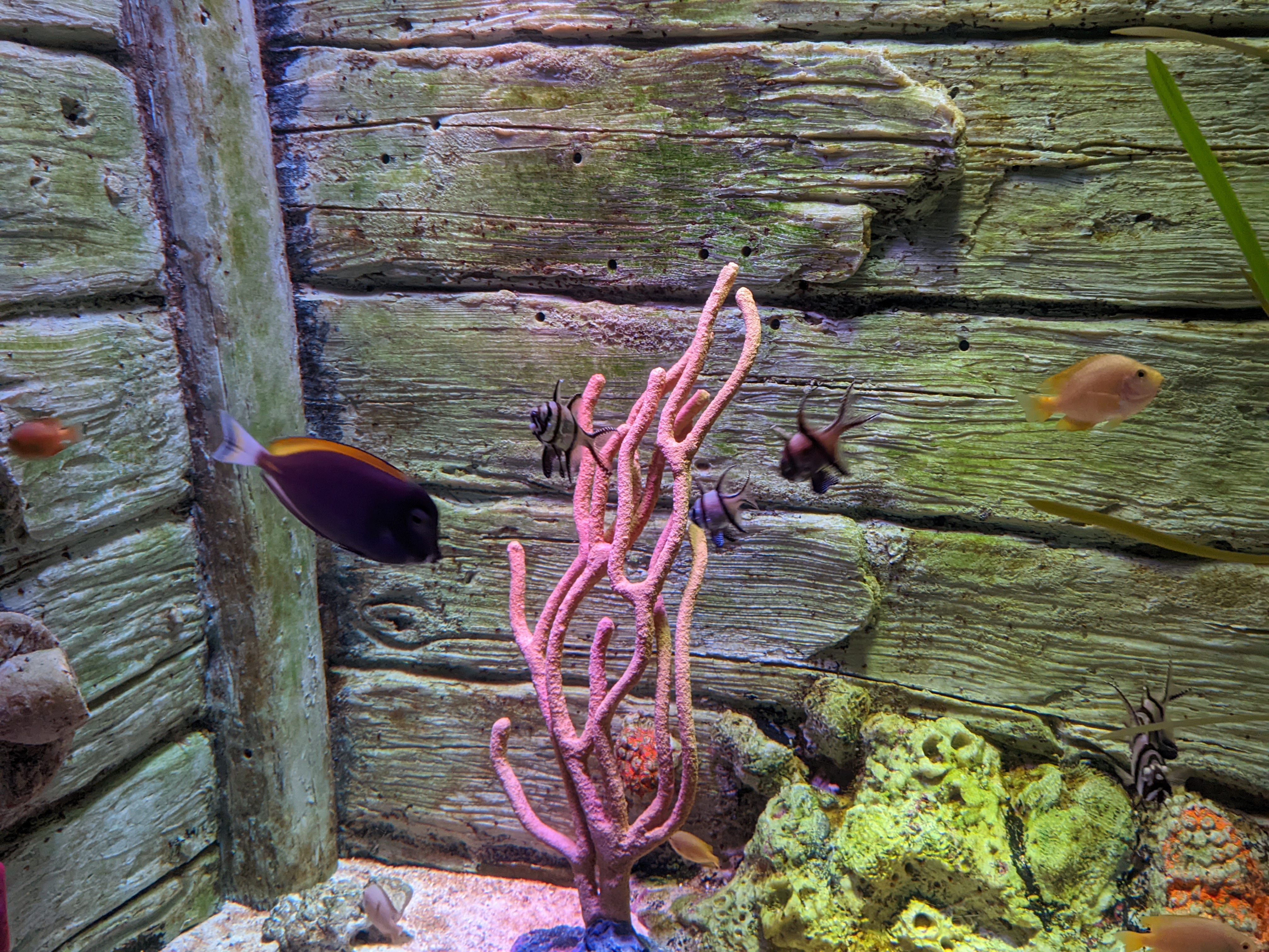 PXL 20220331 193657872