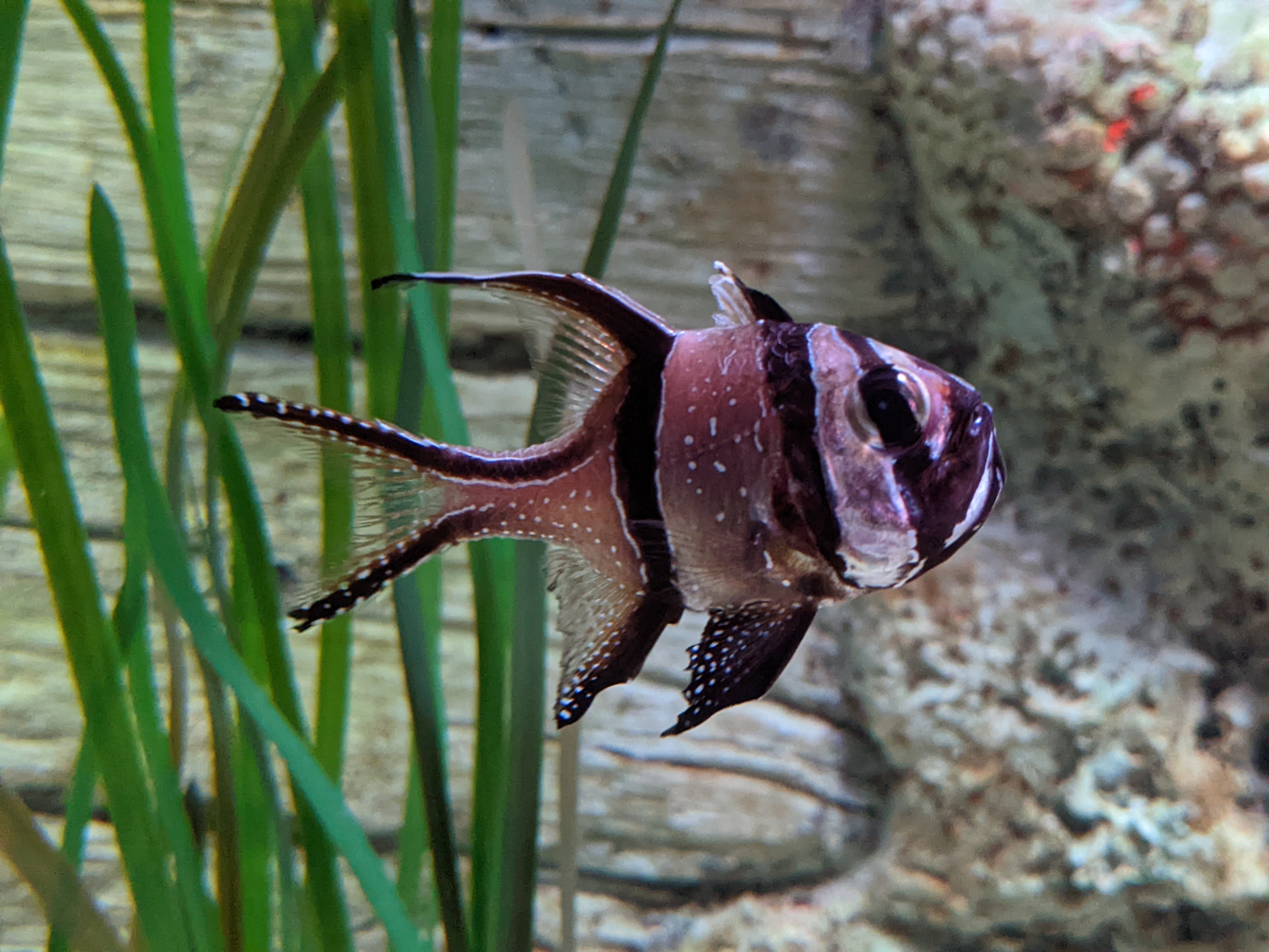 PXL 20220331 193801435