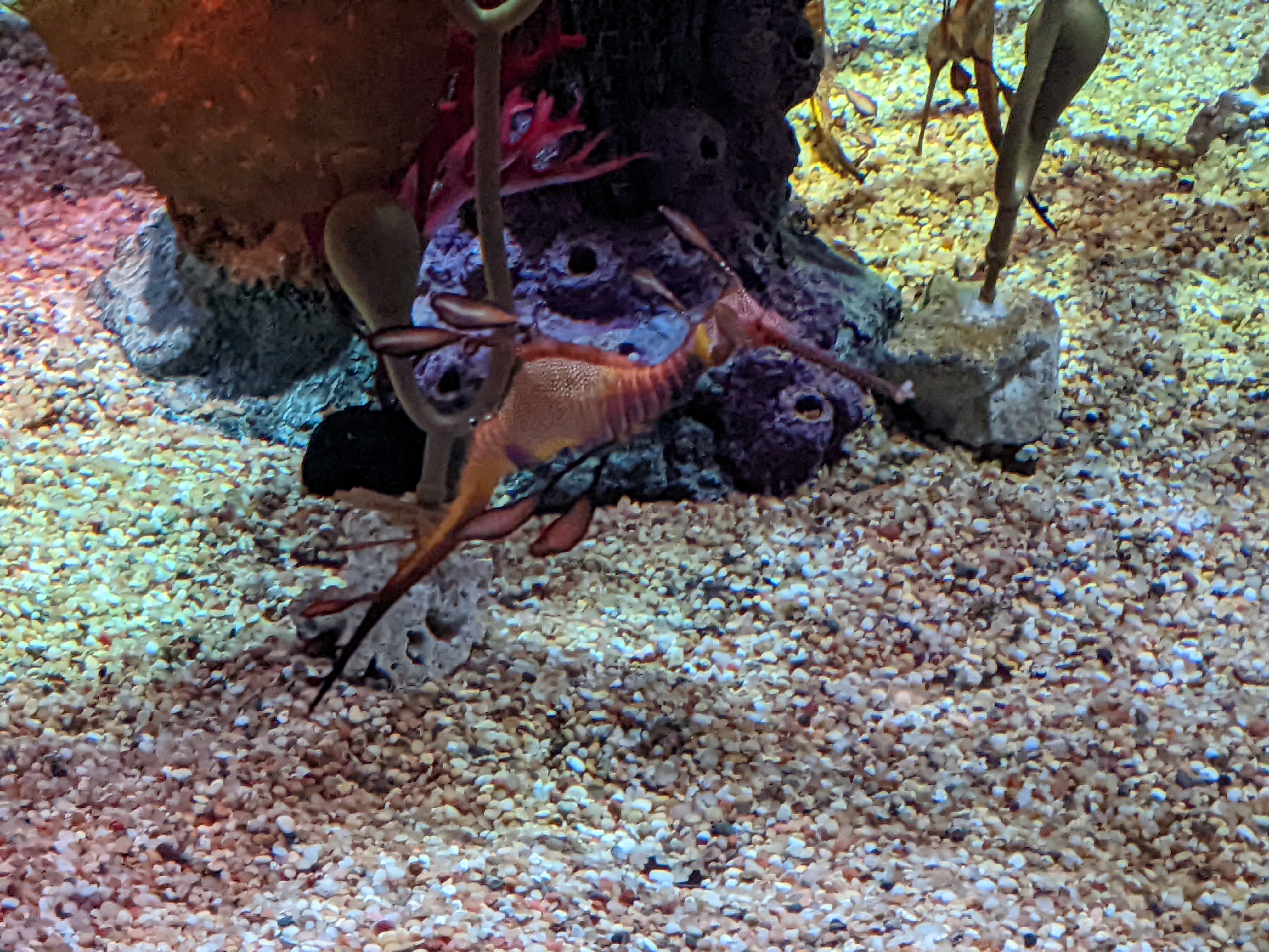 PXL 20220331 194809114