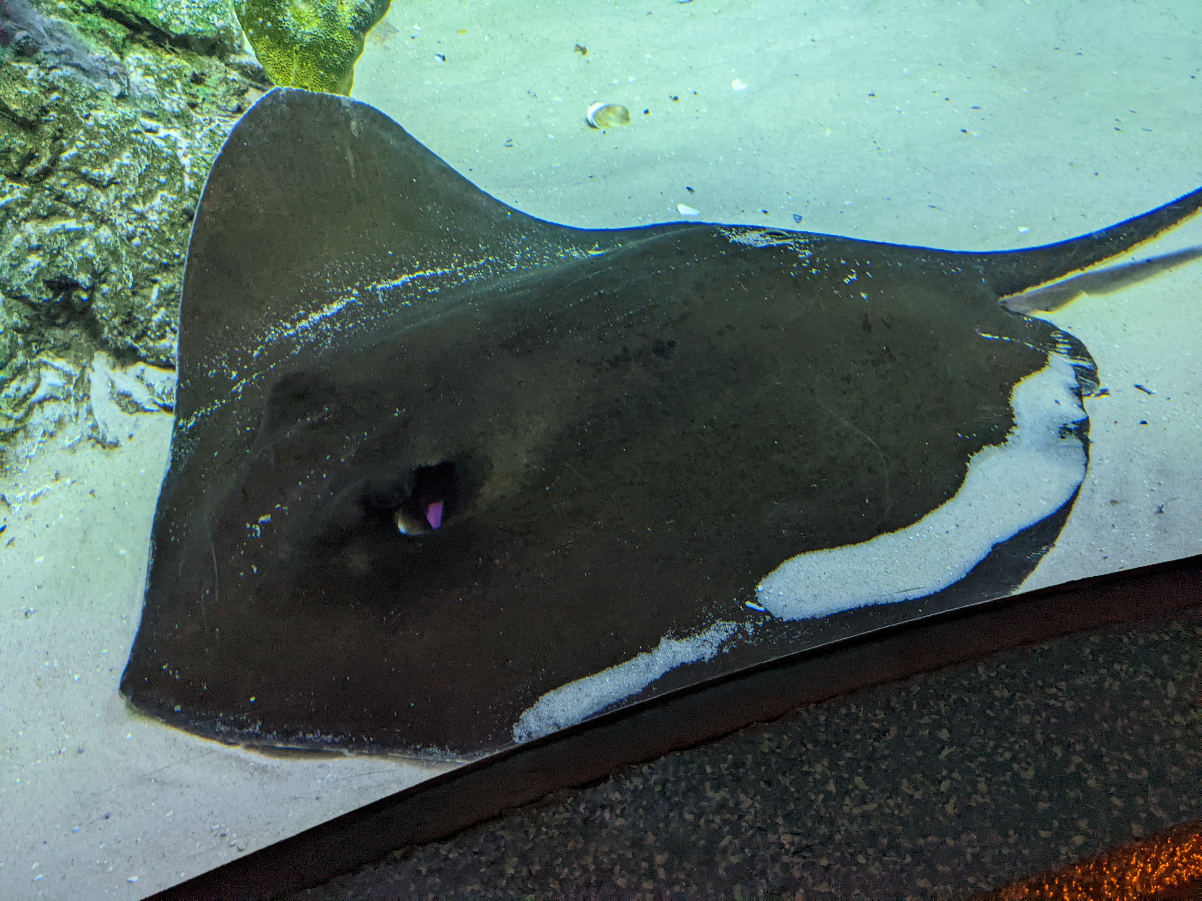 PXL 20220331 195310854