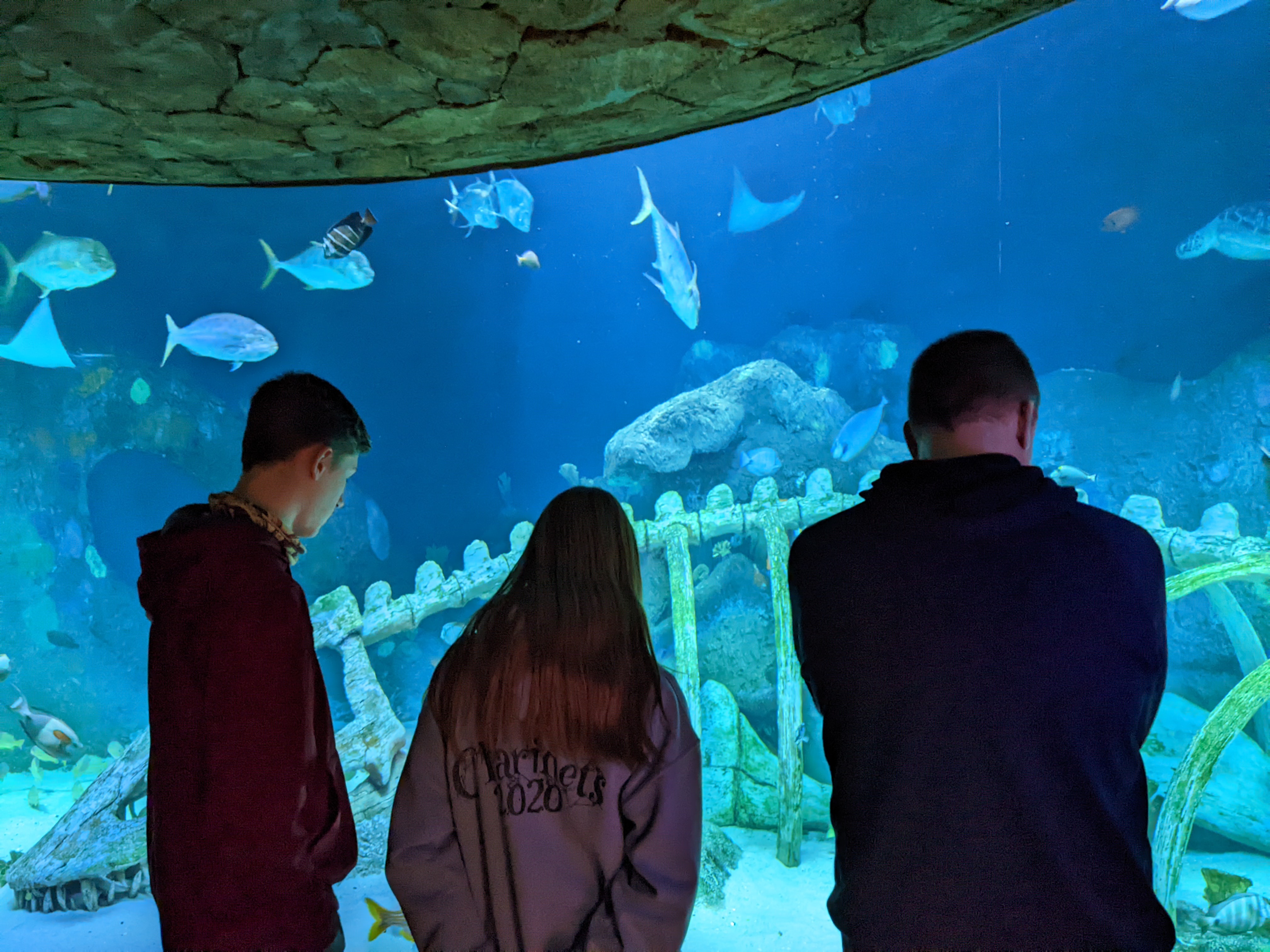 PXL 20220331 195348590