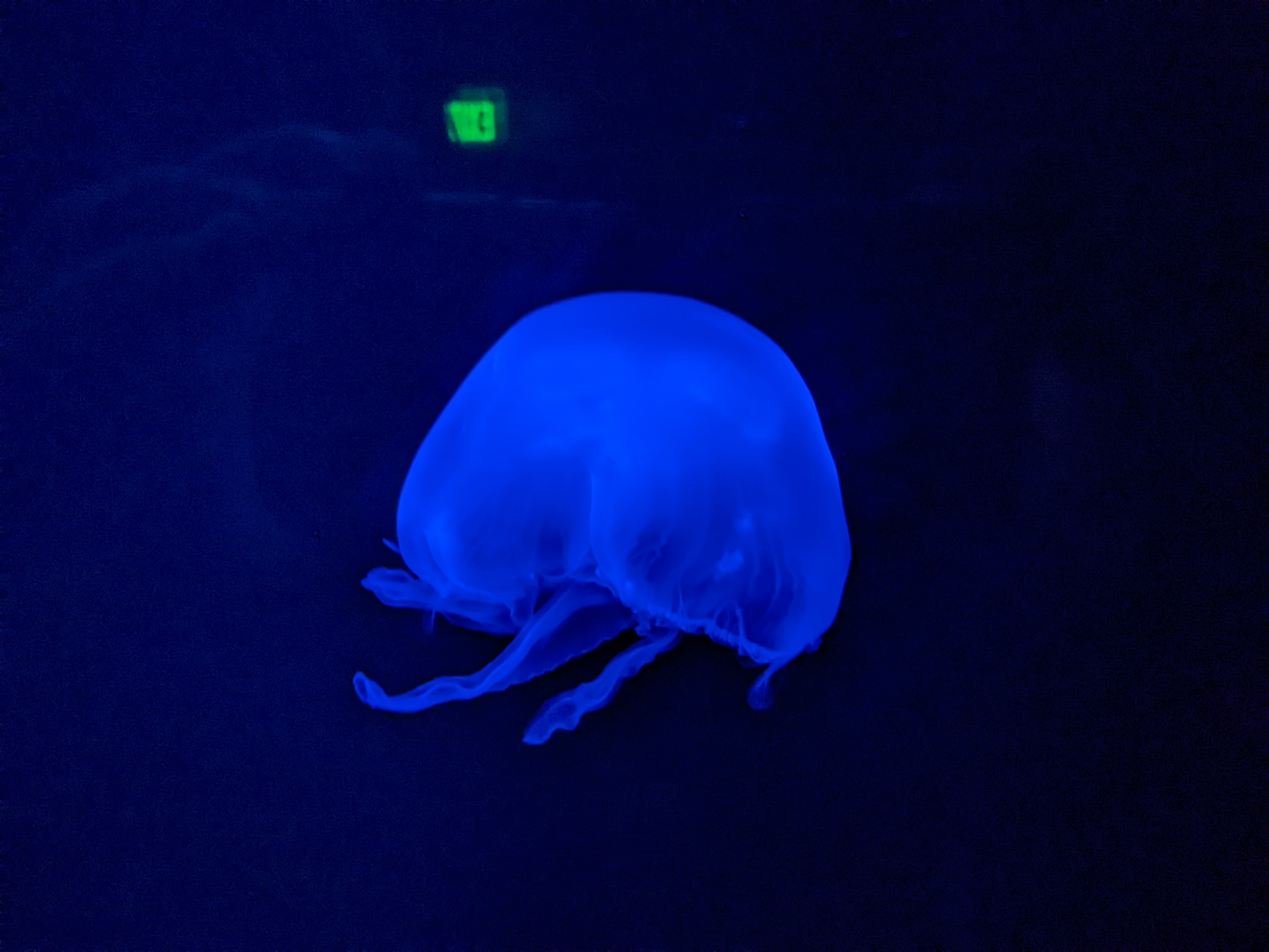 PXL 20220331 195903590