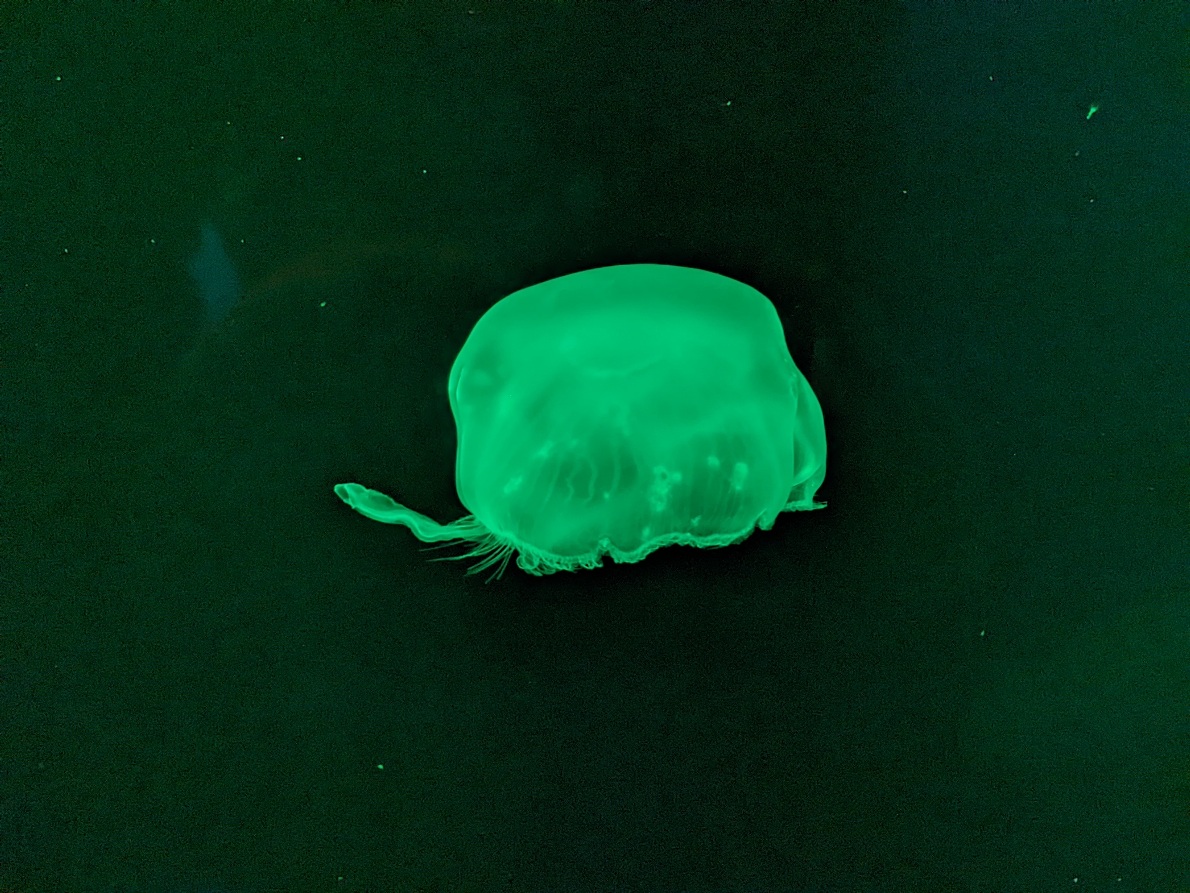 PXL 20220331 195949349