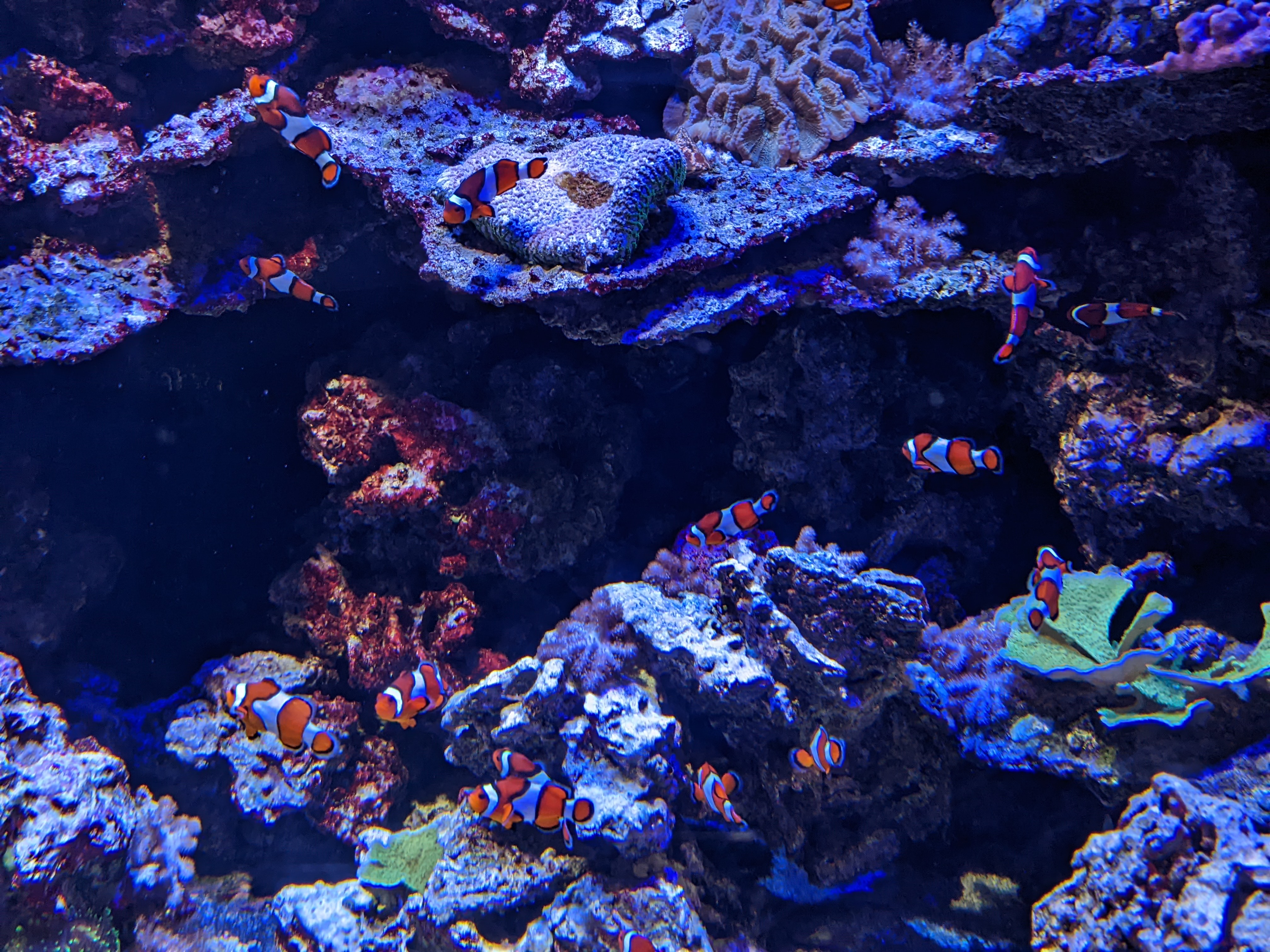 PXL 20220331 200534690