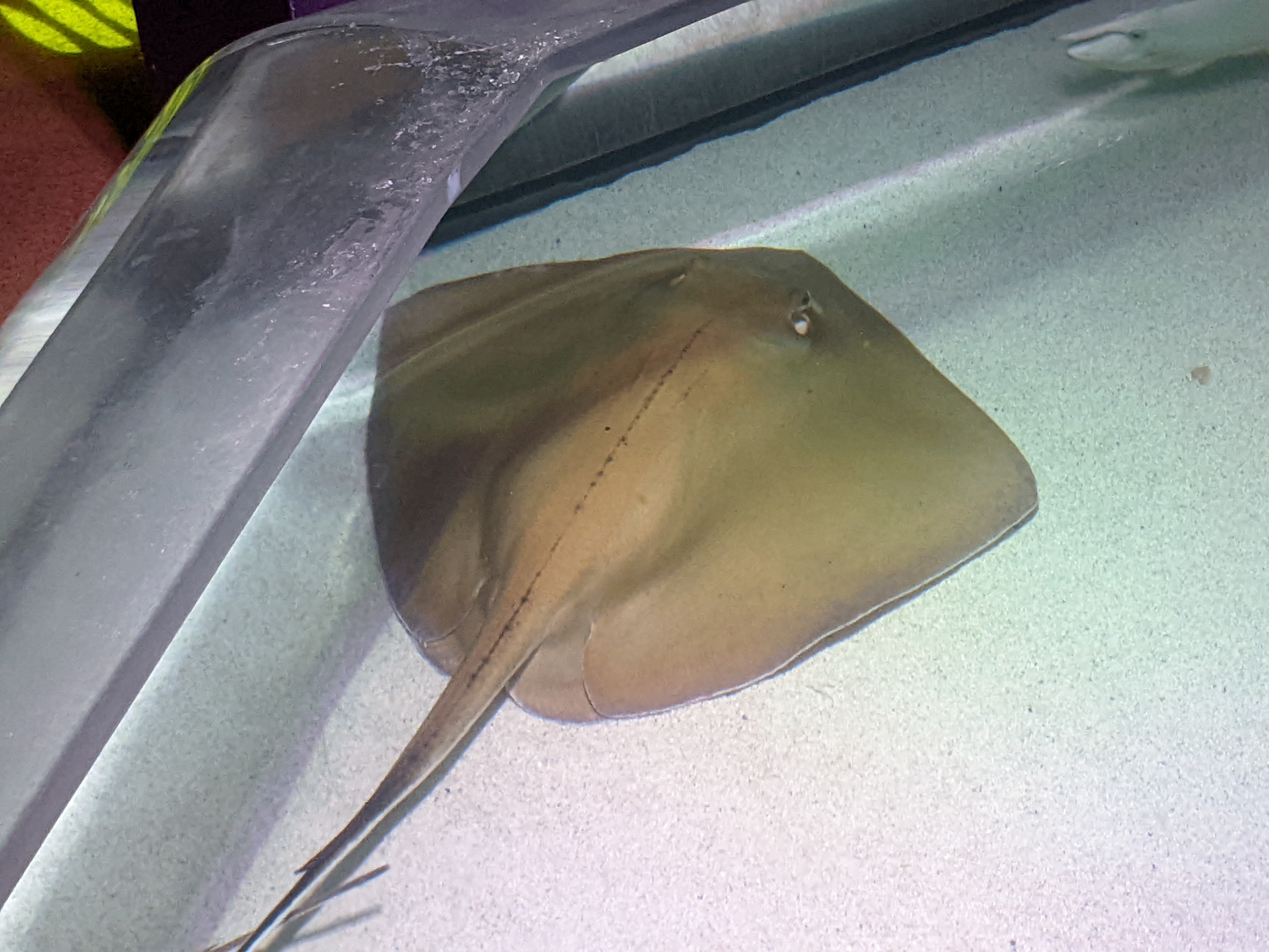 PXL 20220331 201053891