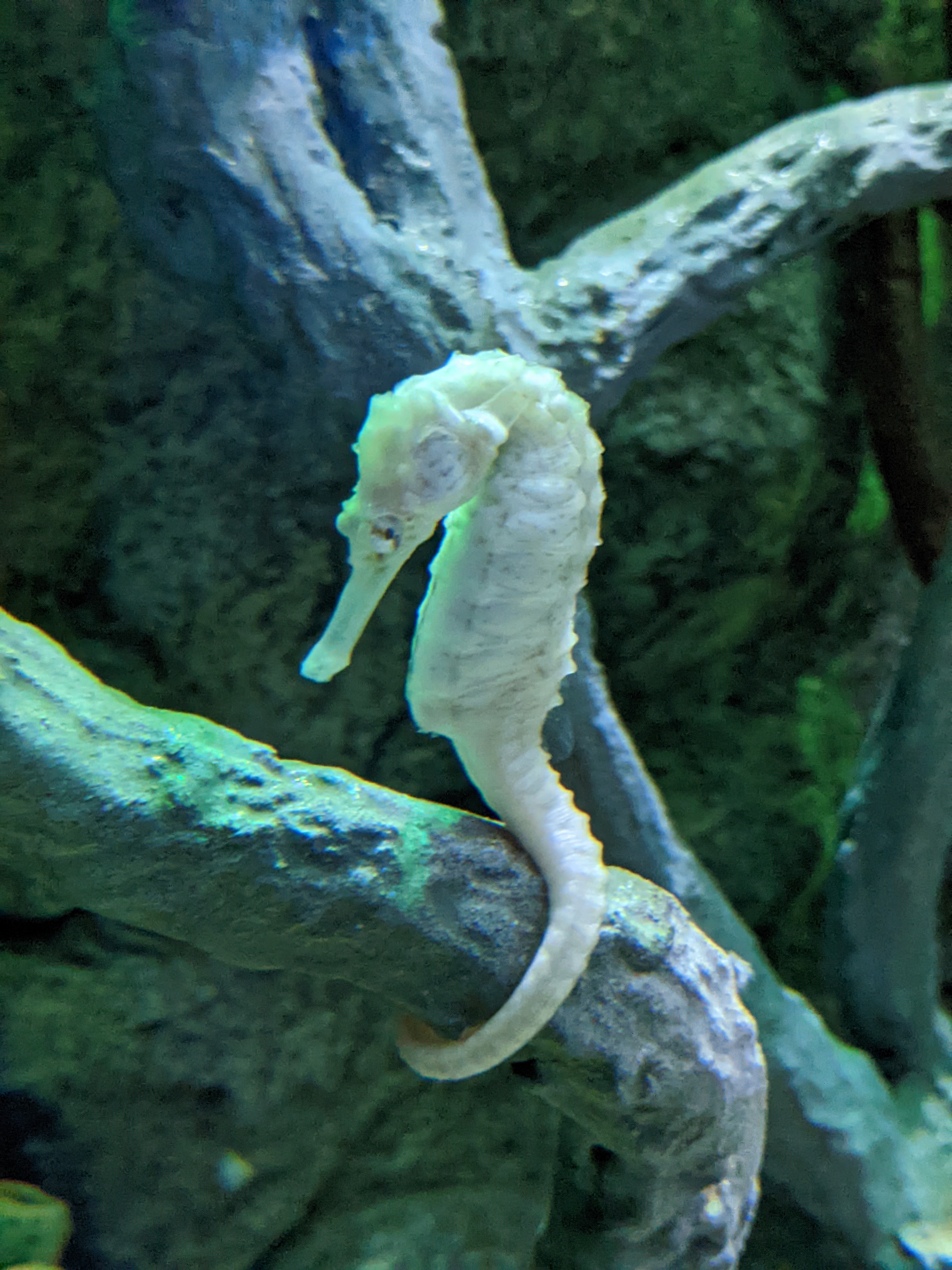 PXL 20220331 201657328