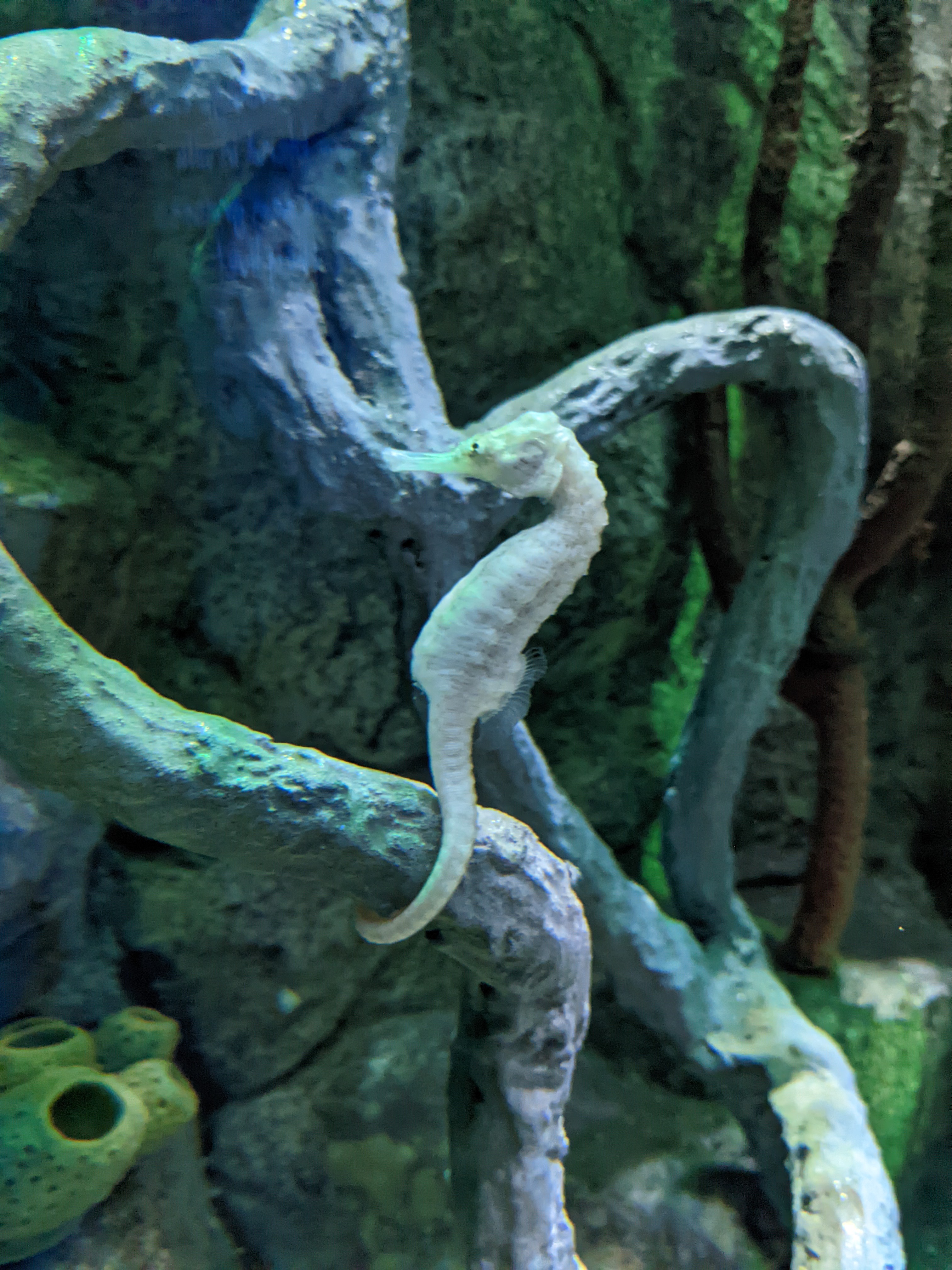 PXL 20220331 201701013