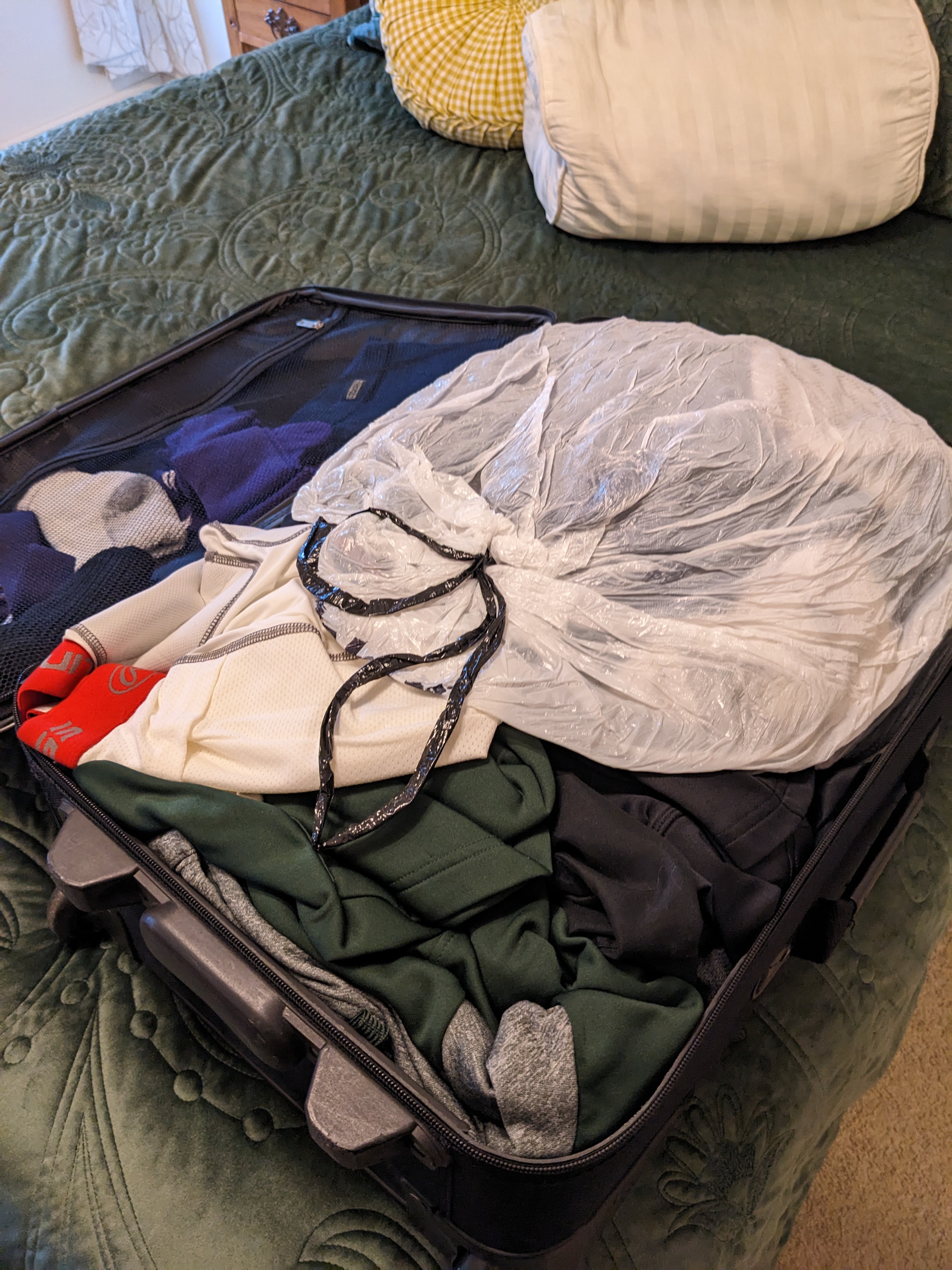 PXL 20230331 202644630