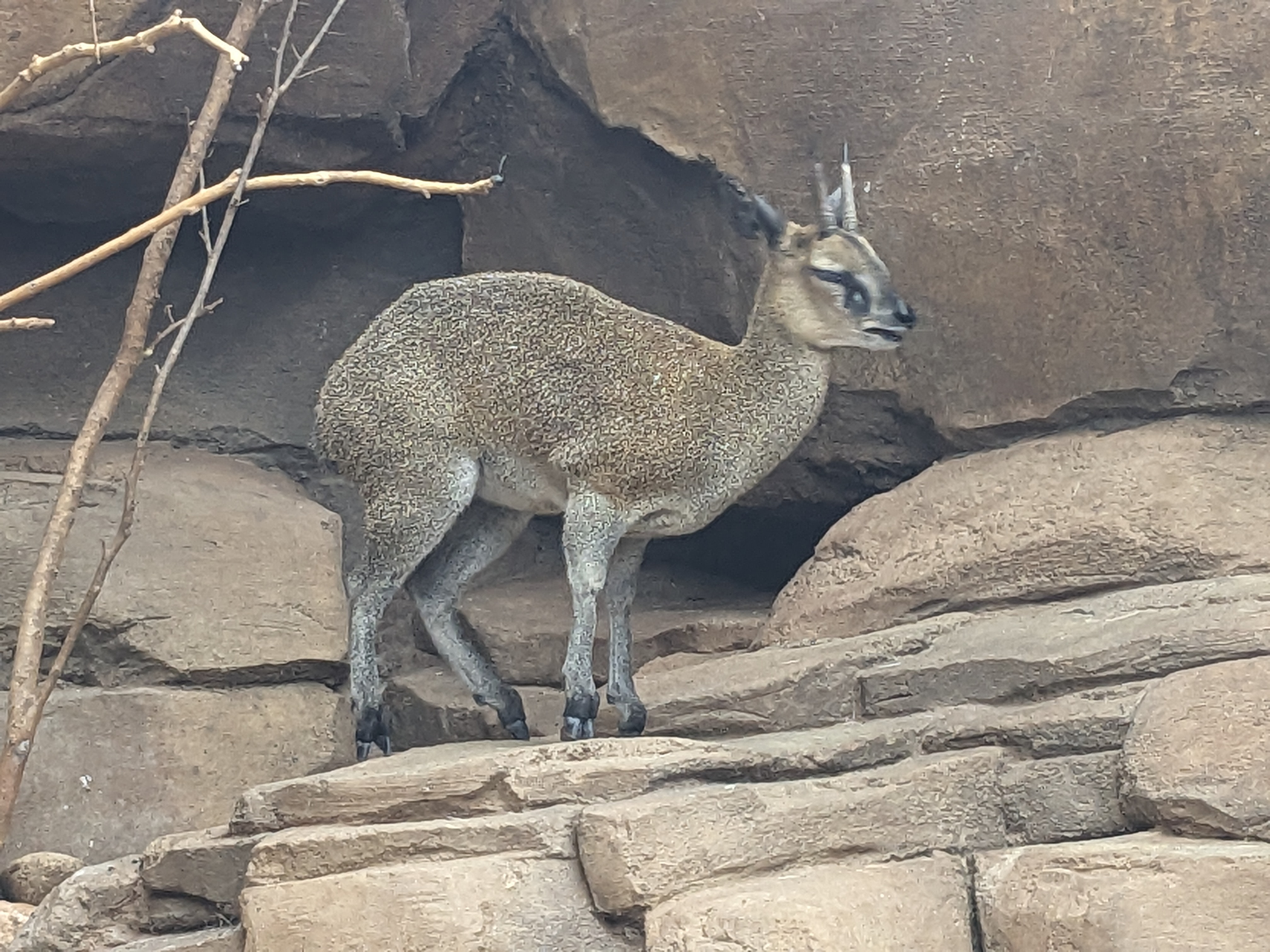 PXL 20240327 172752069