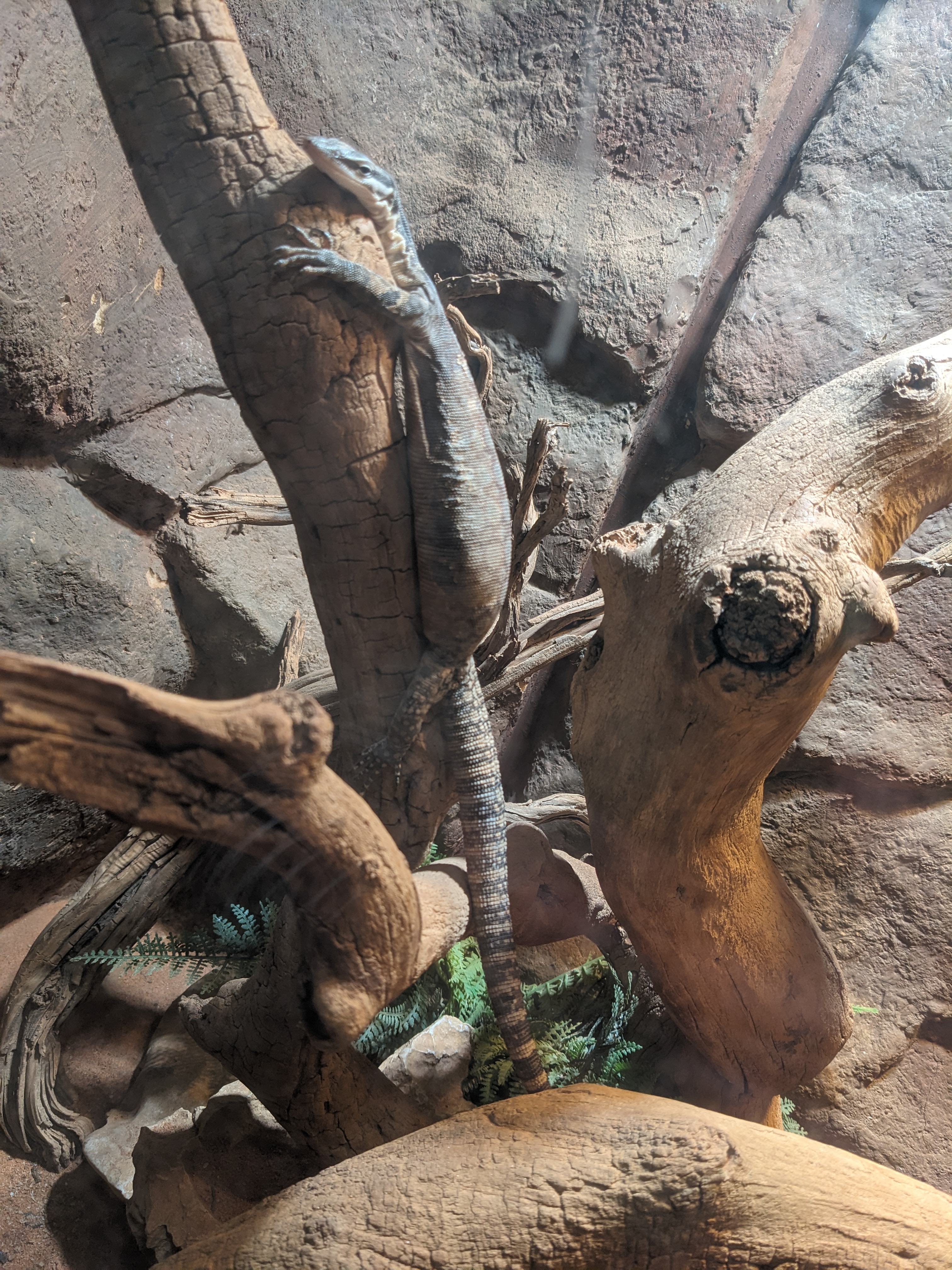 PXL 20240327 174229284