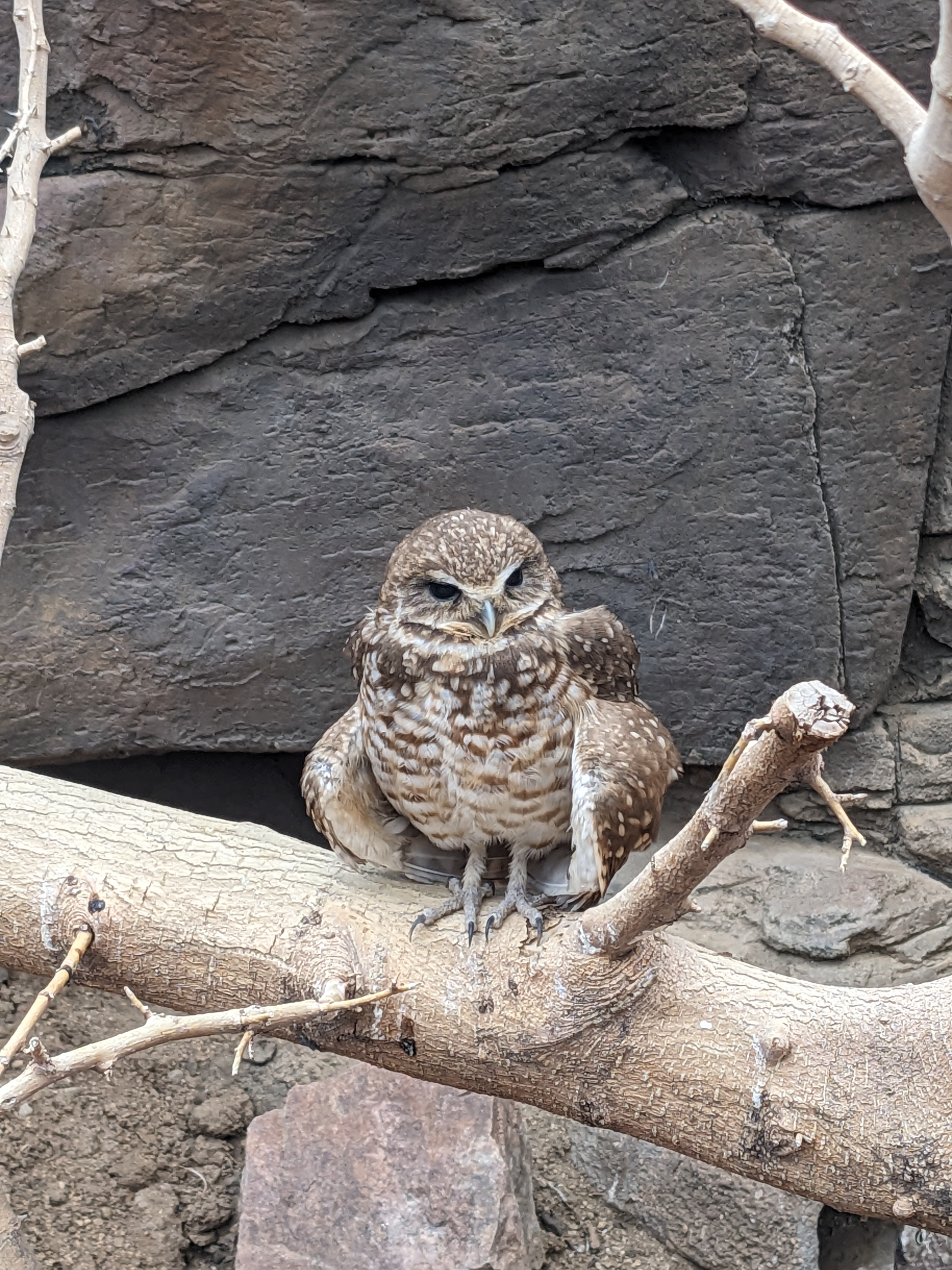 PXL 20240327 175131730