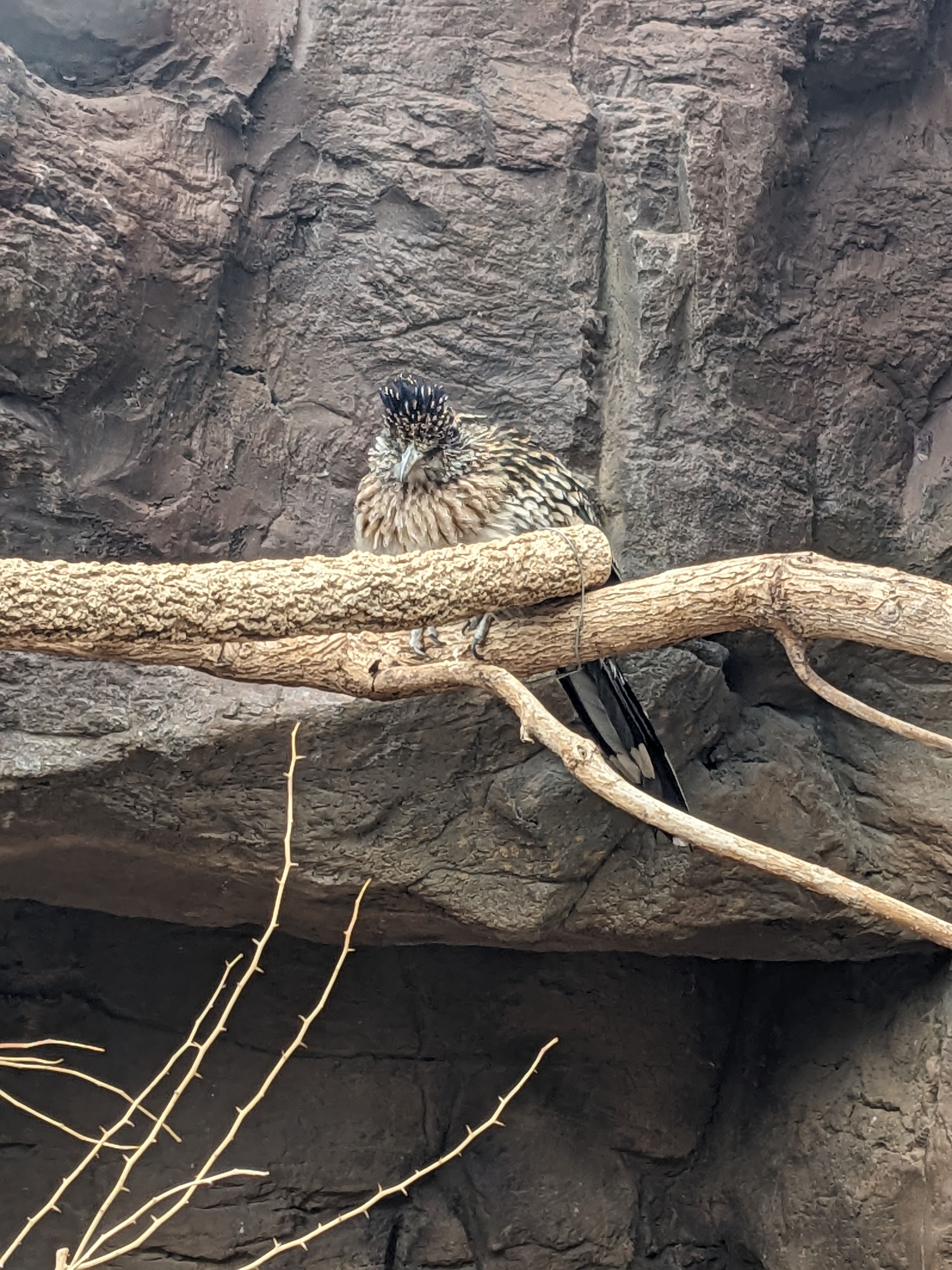 PXL 20240327 175159160