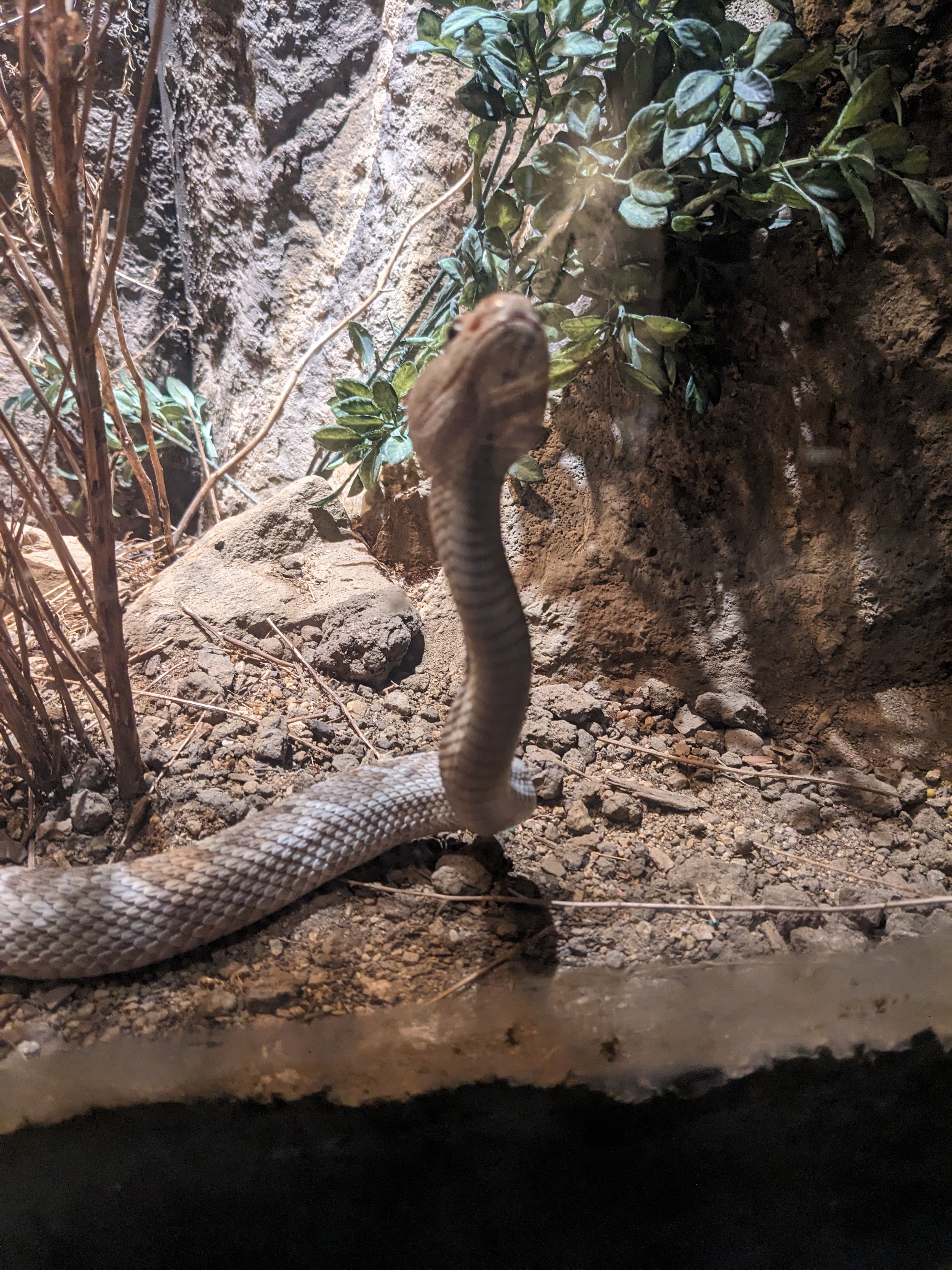 PXL 20240327 180436883