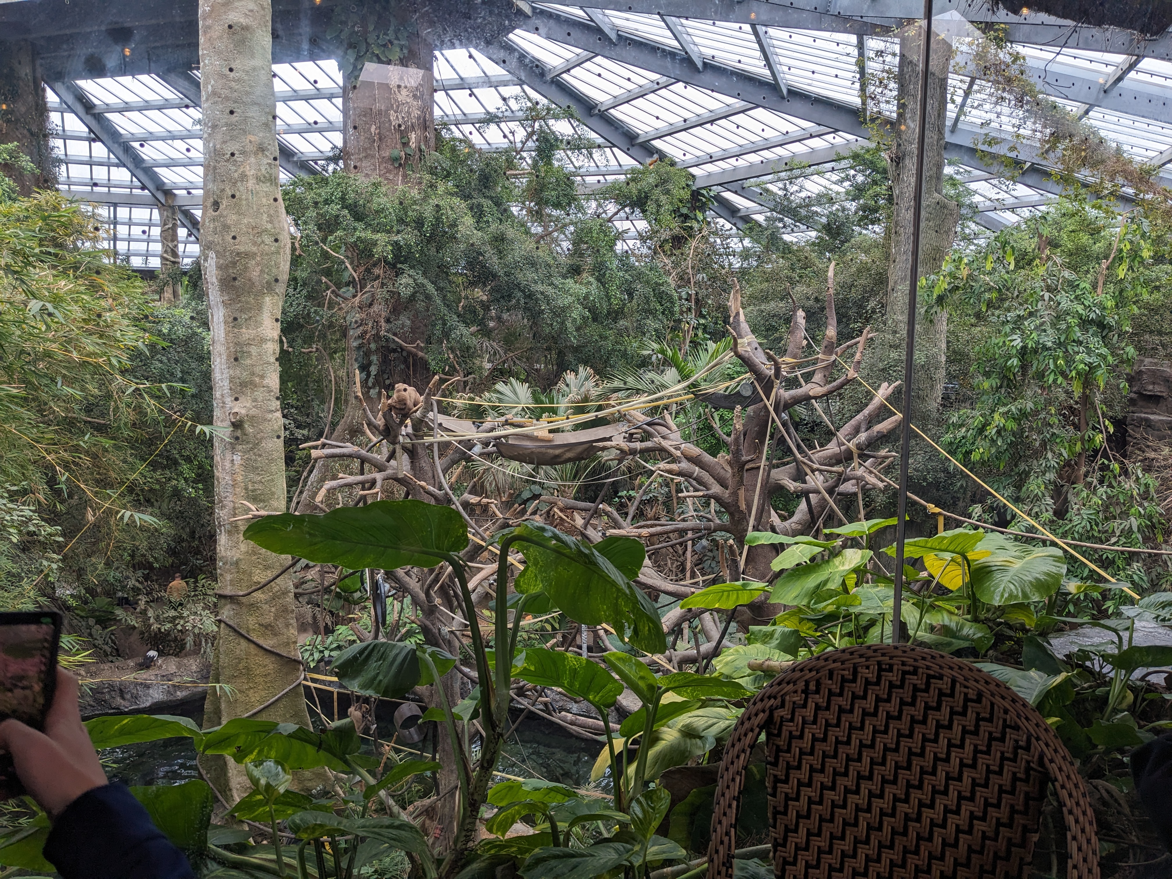 PXL 20240327 182502473