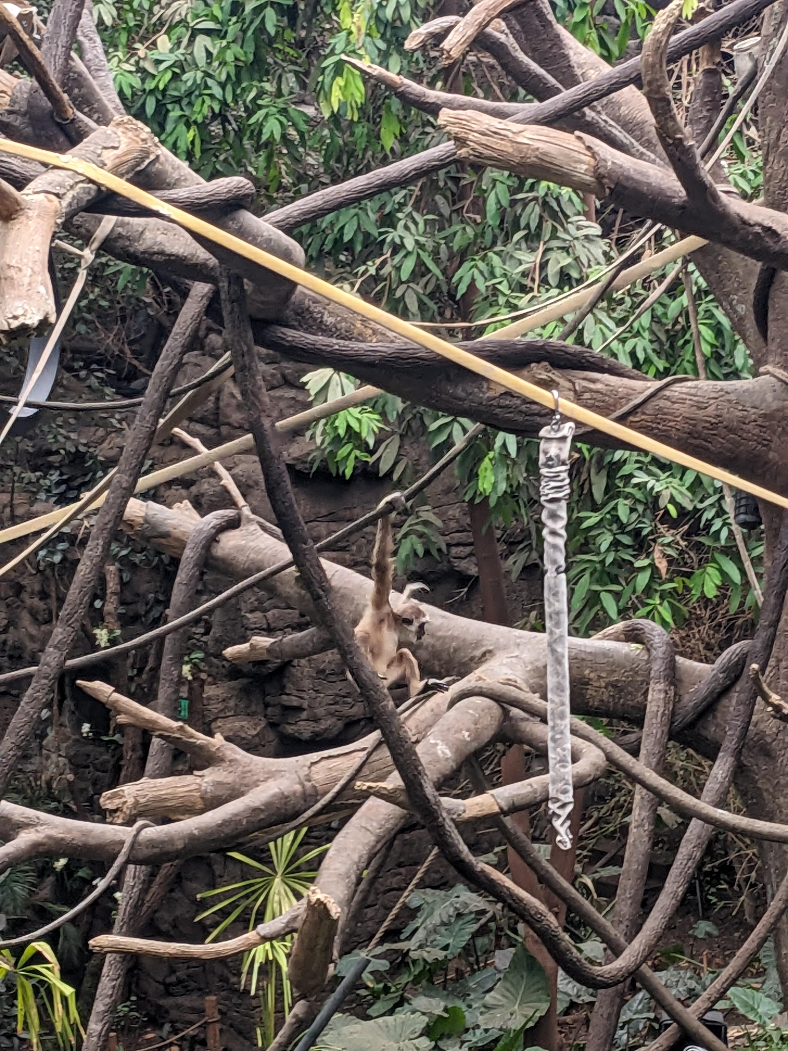 PXL 20240327 184234333