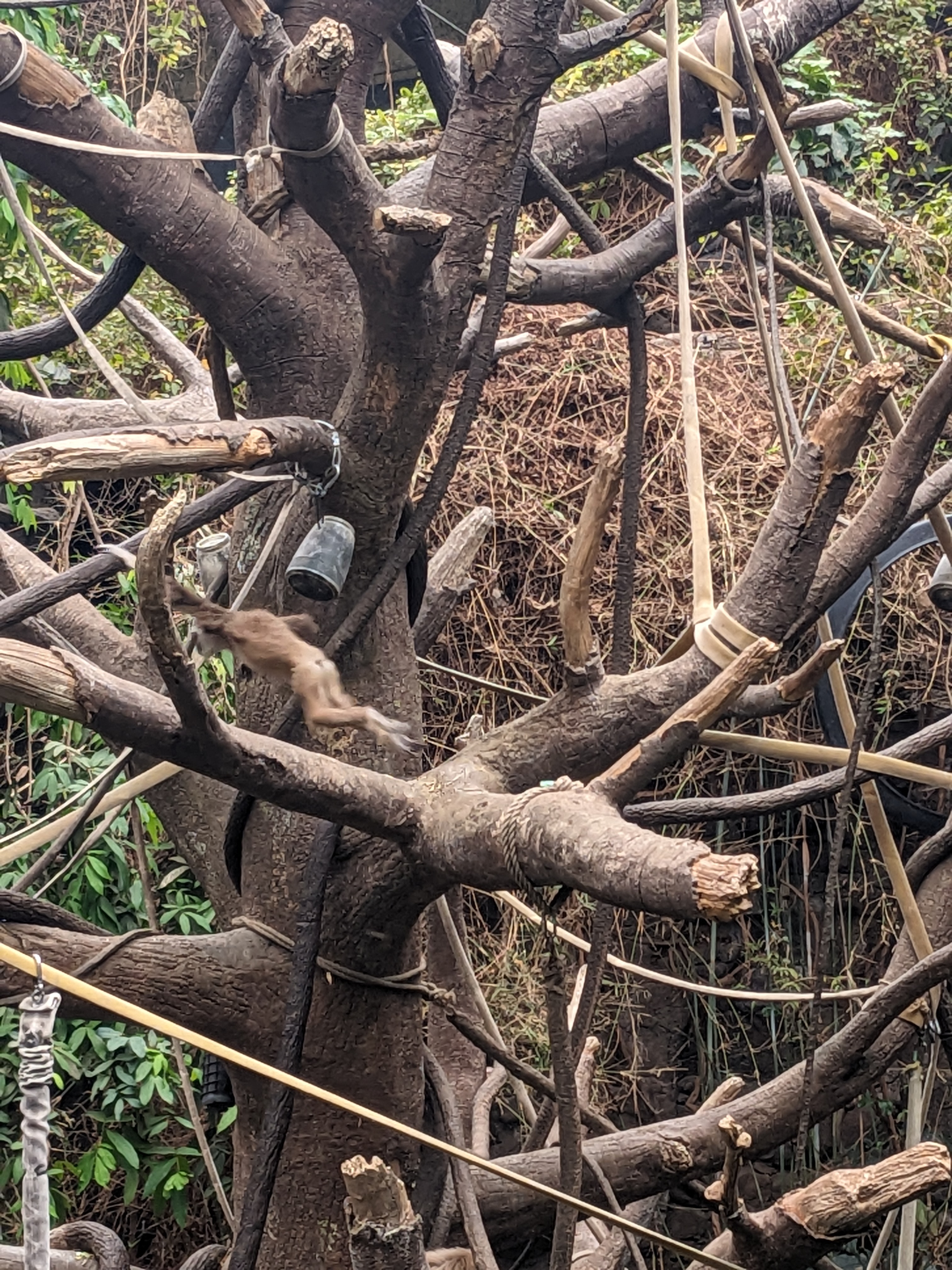 PXL 20240327 184255778