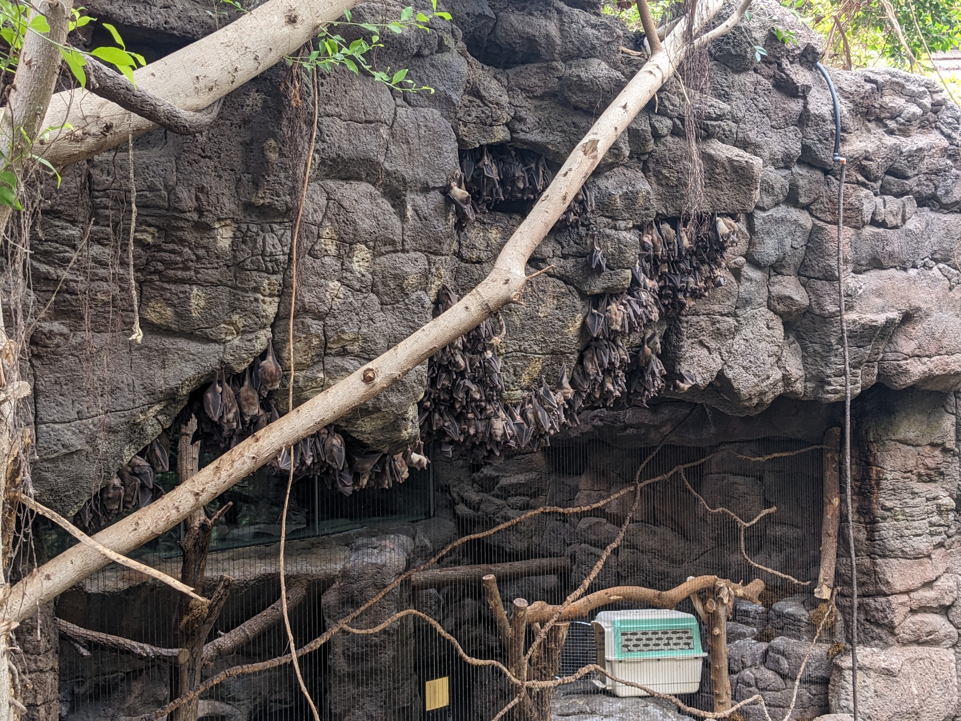 PXL 20240327 184937751