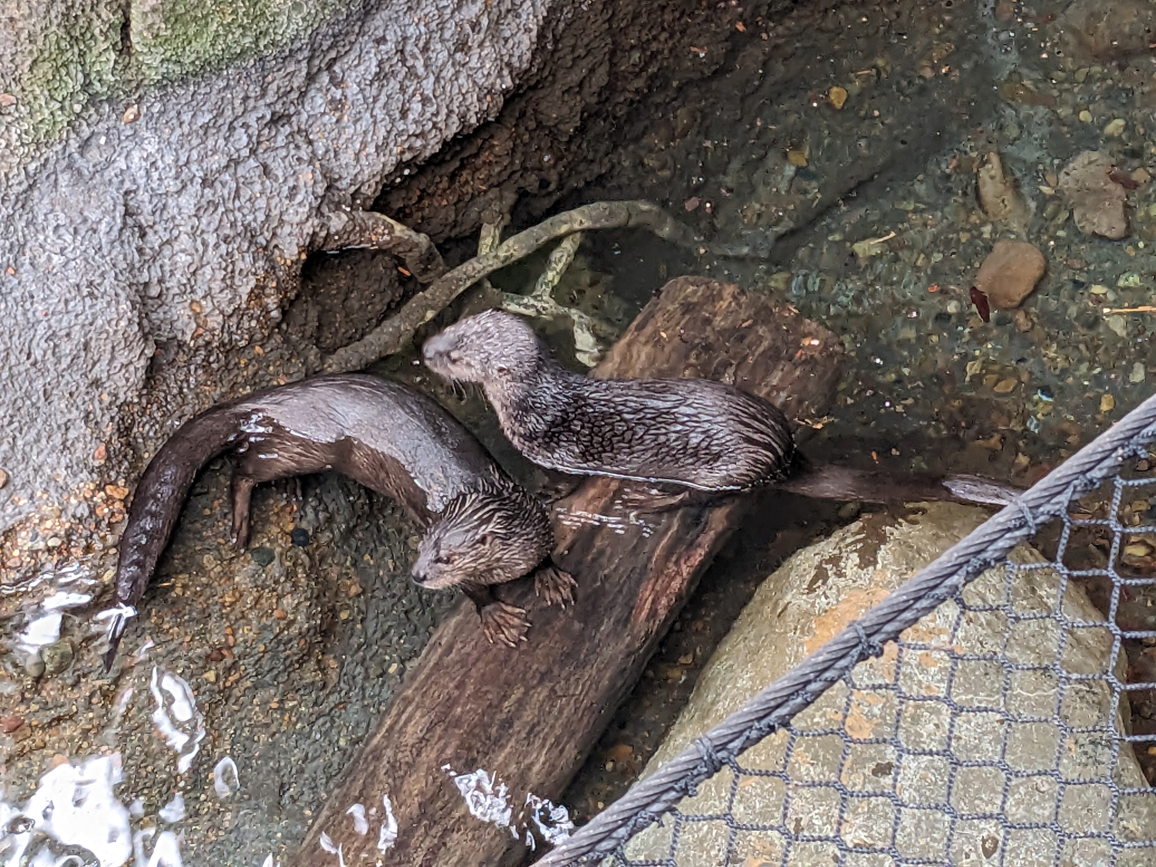 PXL 20240327 185842823