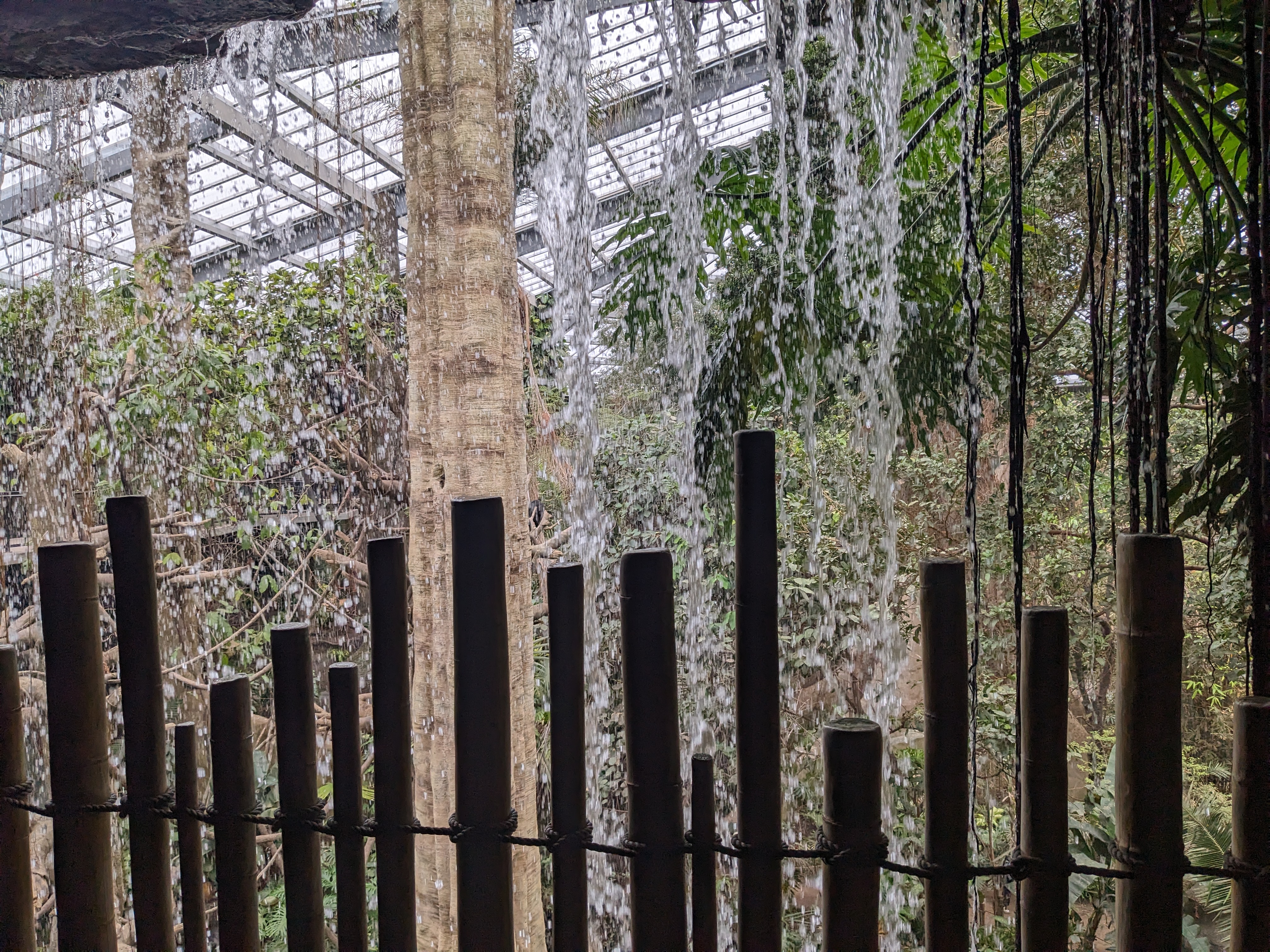 PXL 20240327 190110965