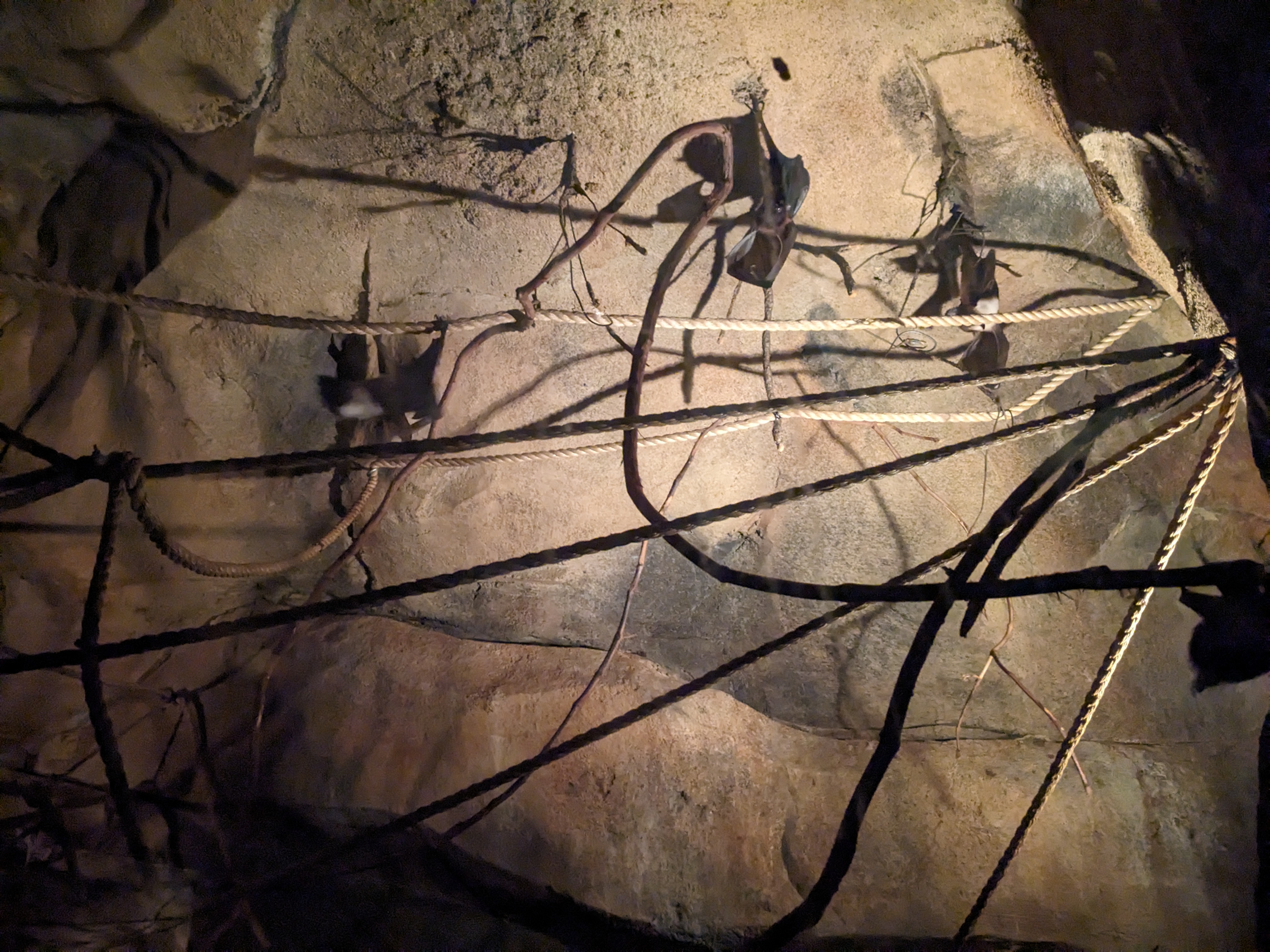 PXL 20240327 195530481