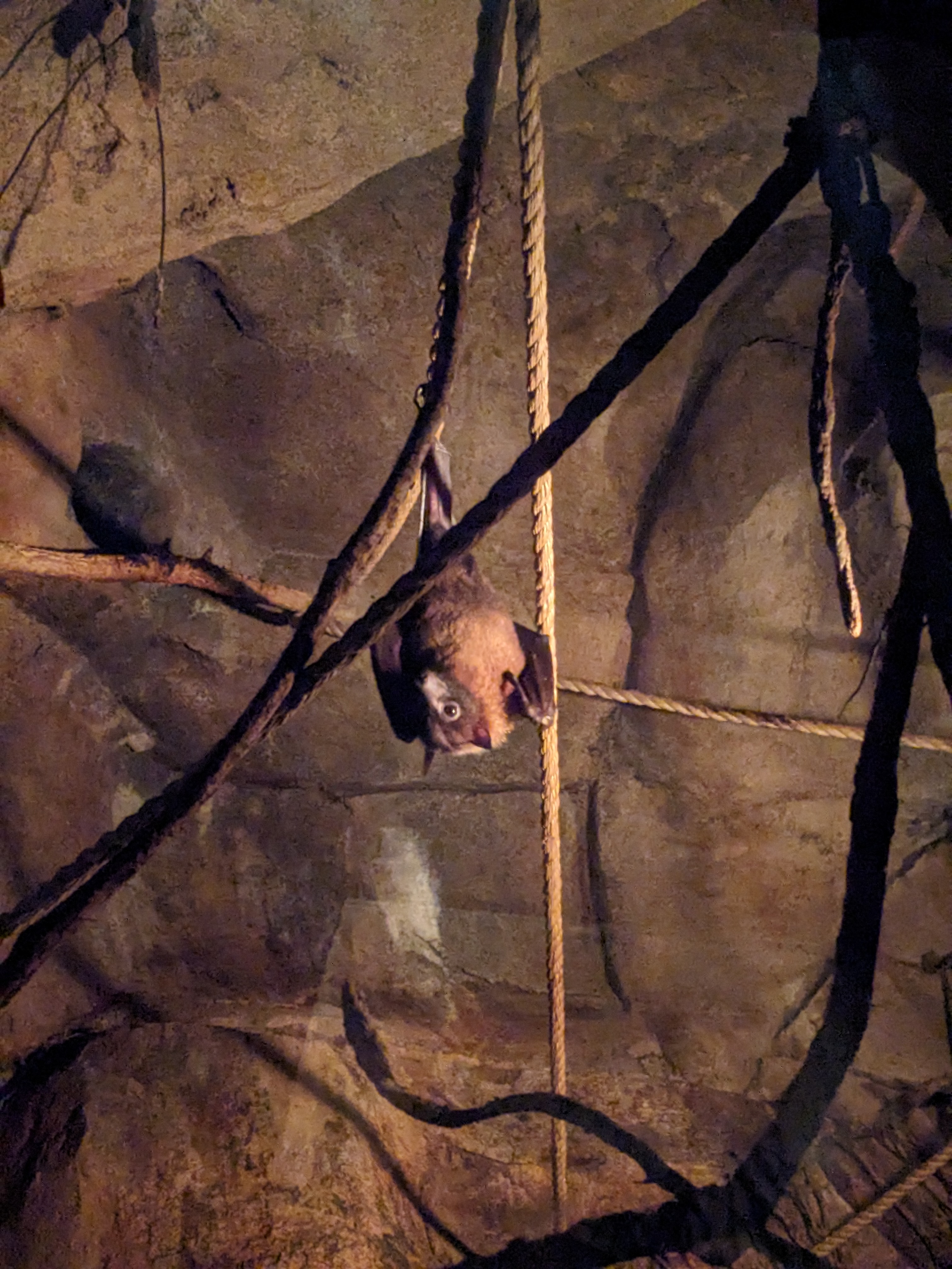 PXL 20240327 195603970