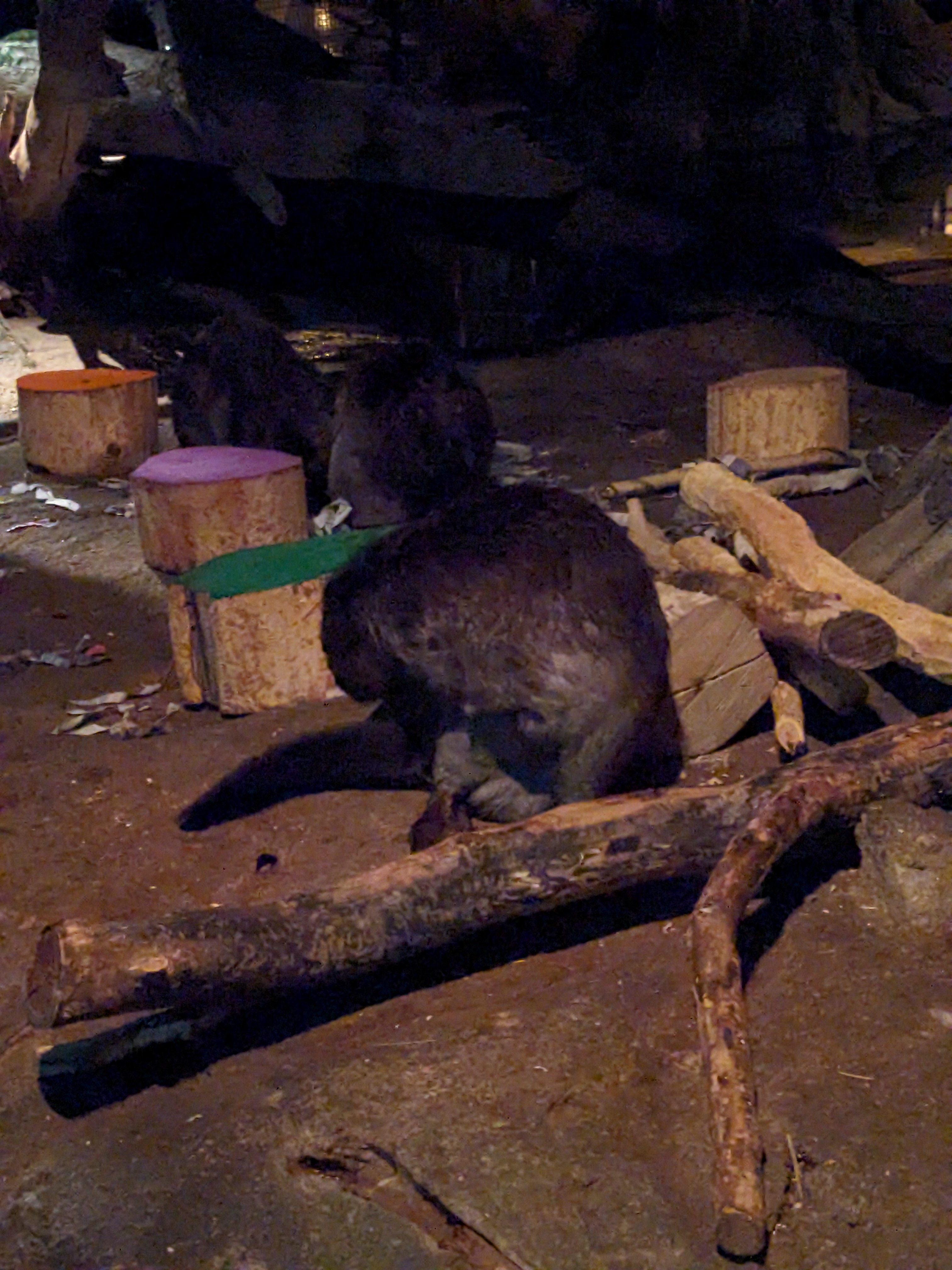 PXL 20240327 200359036