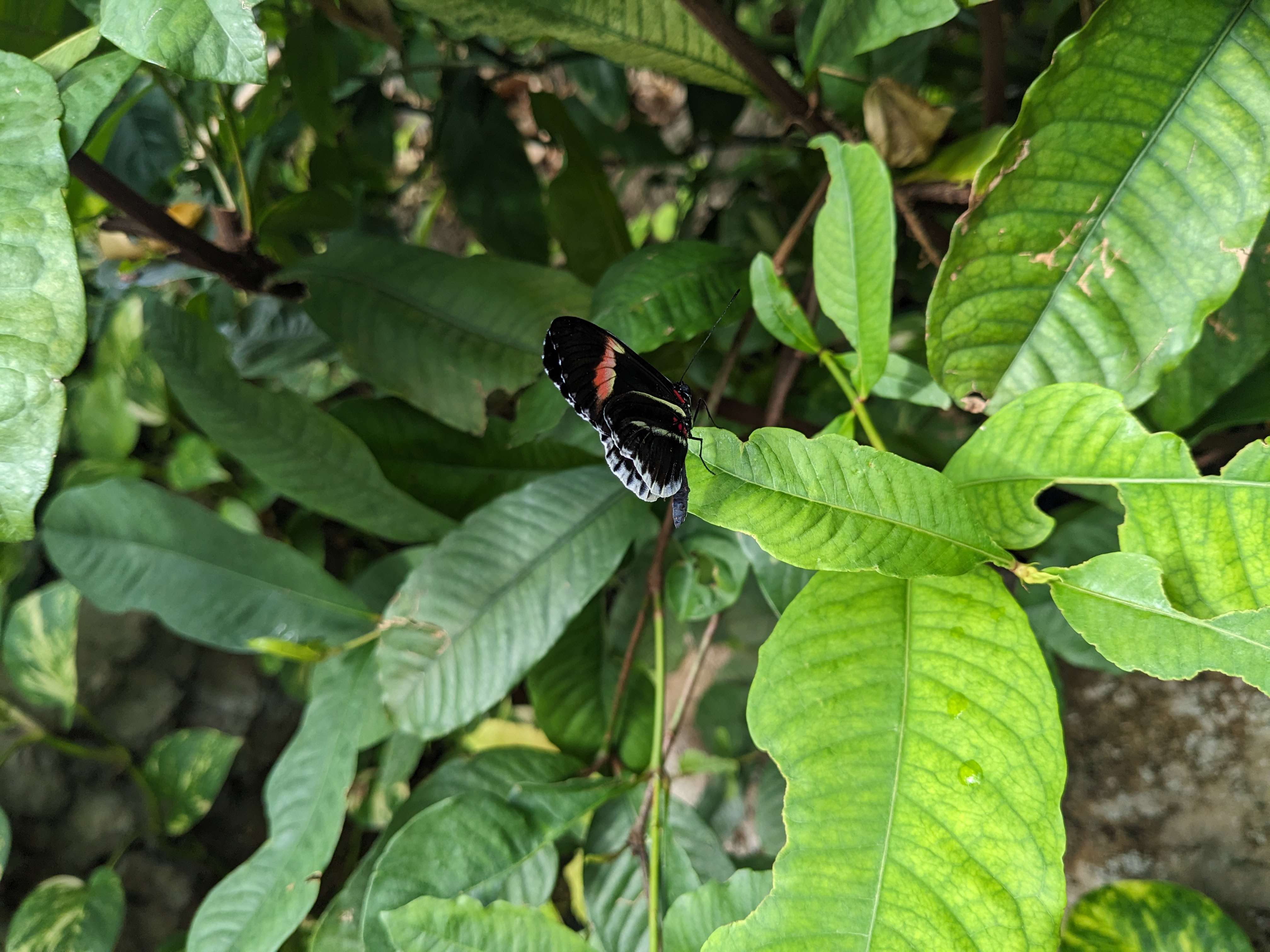 PXL 20240327 201735241