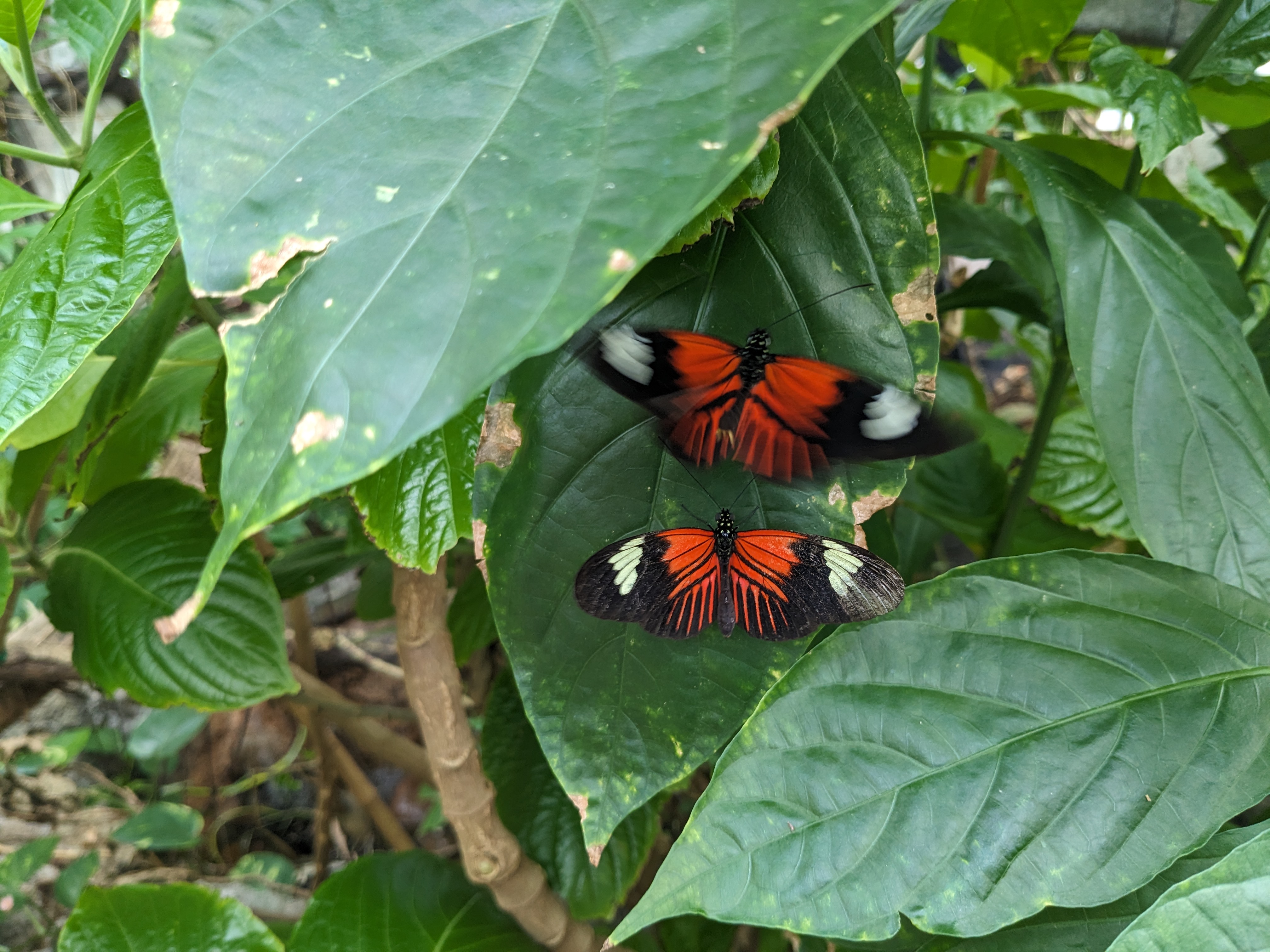 PXL 20240327 201817088