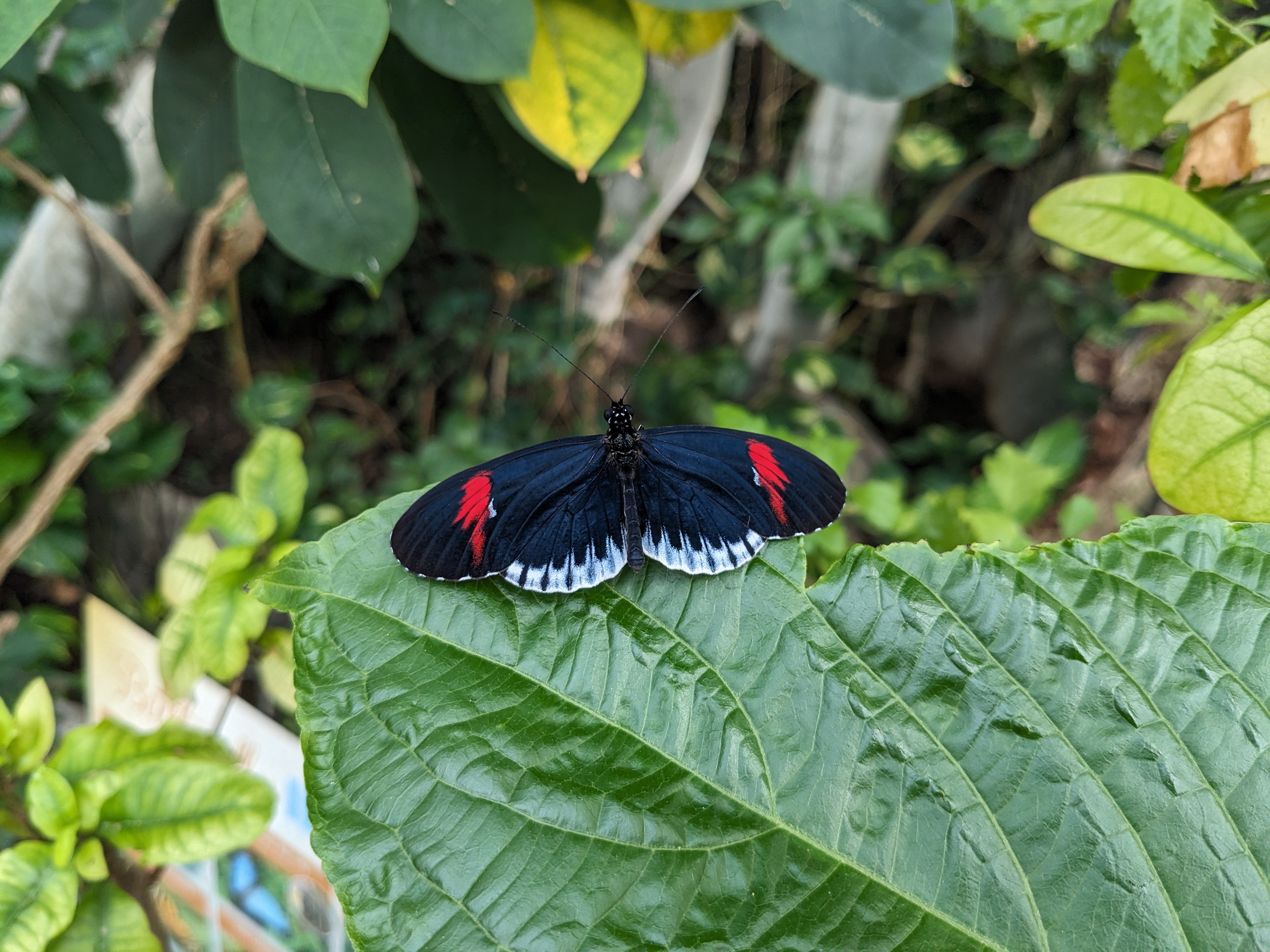 PXL 20240327 201832404