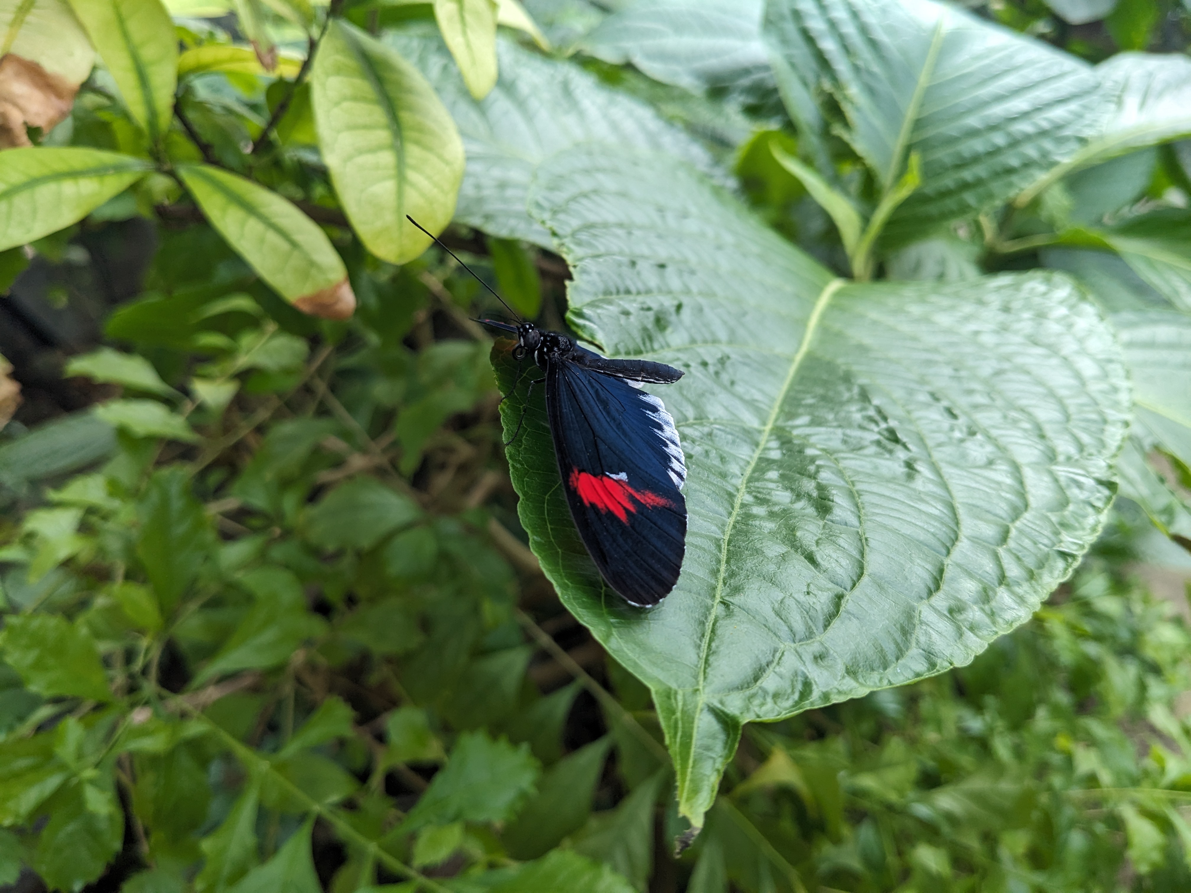 PXL 20240327 201840753