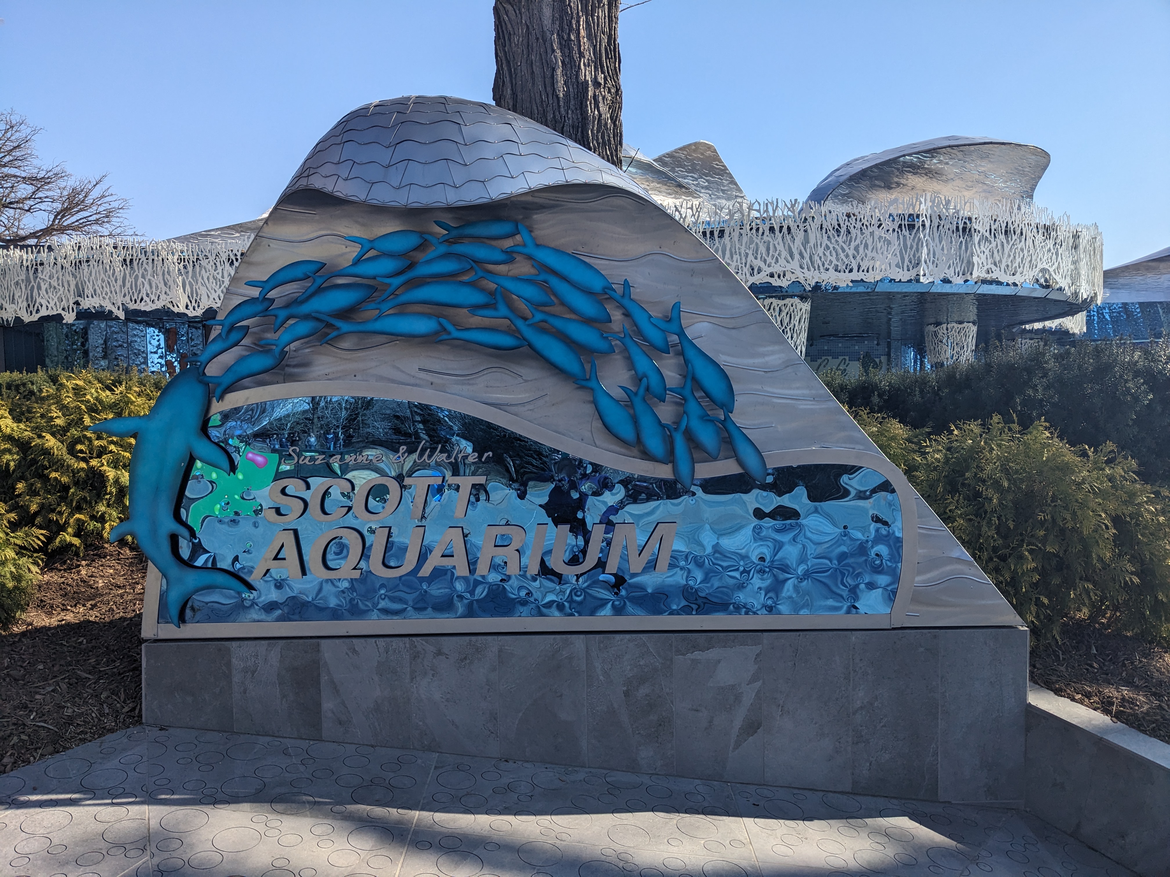 PXL 20240328 152946454