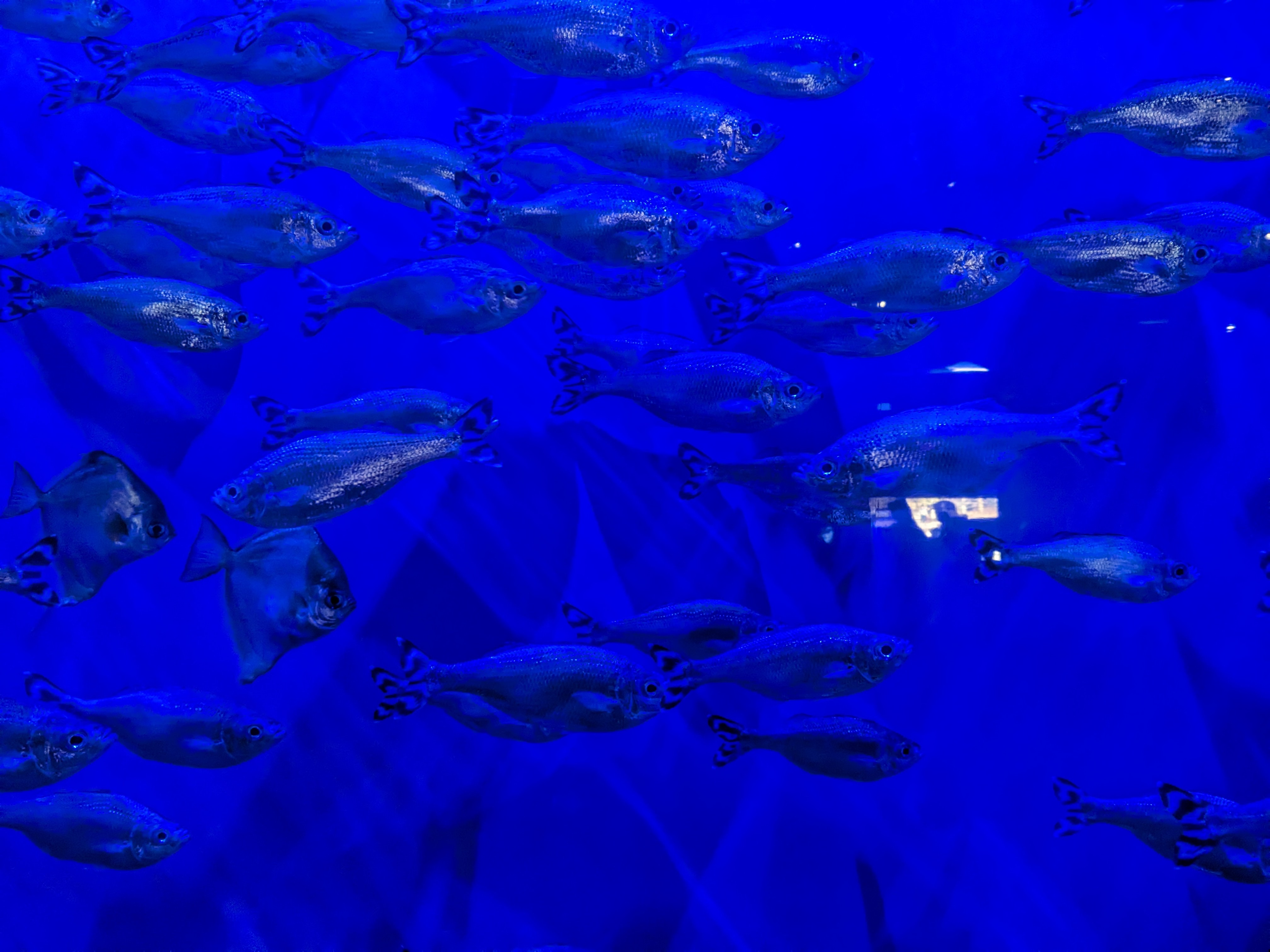 PXL 20240328 153202943