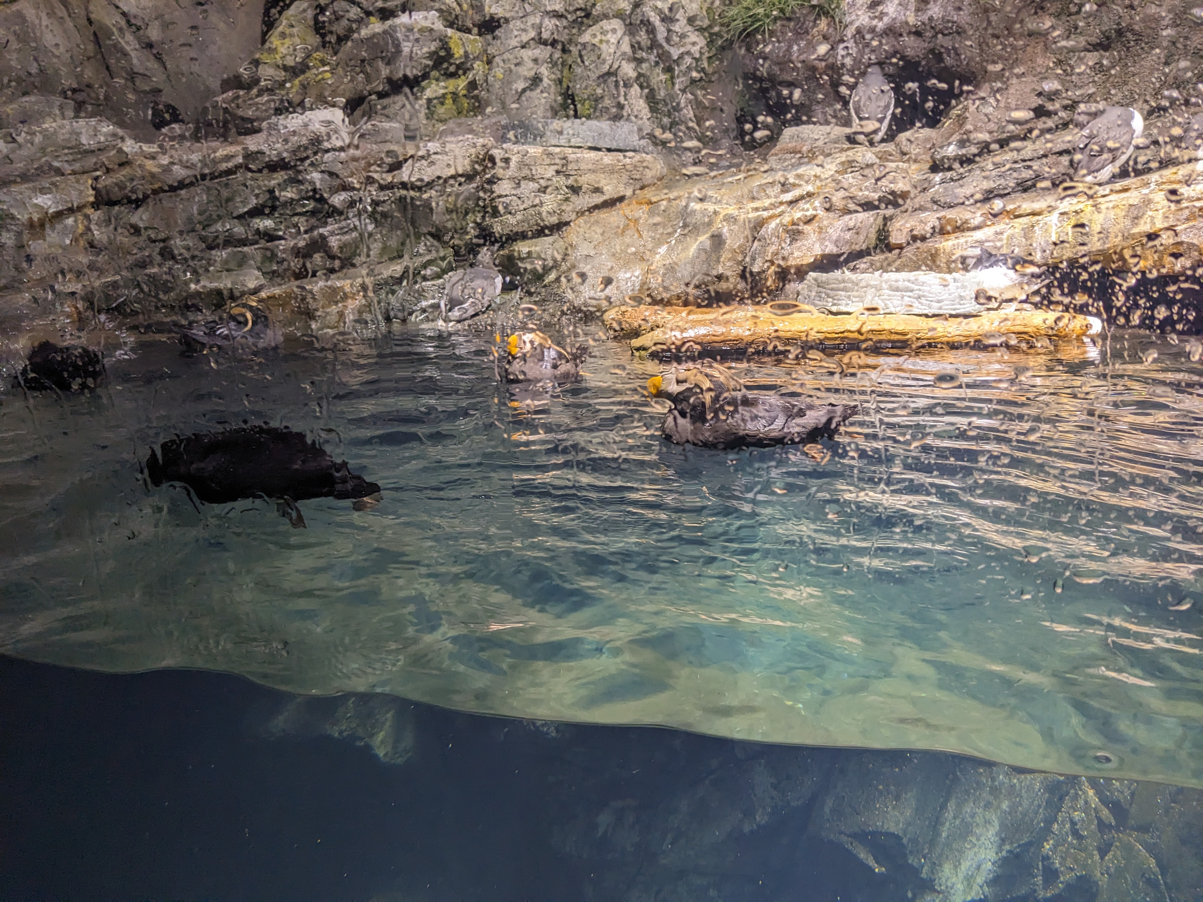 PXL 20240328 153324730