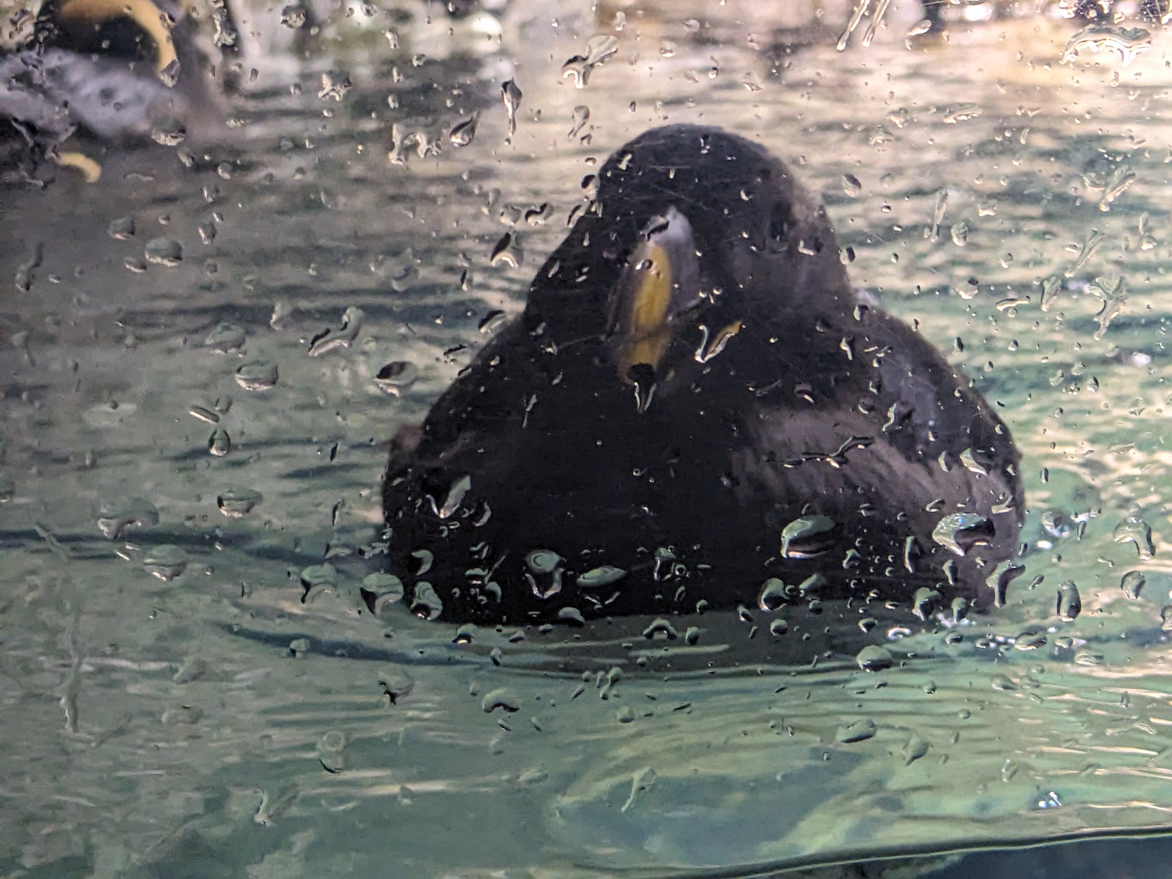 PXL 20240328 153410774