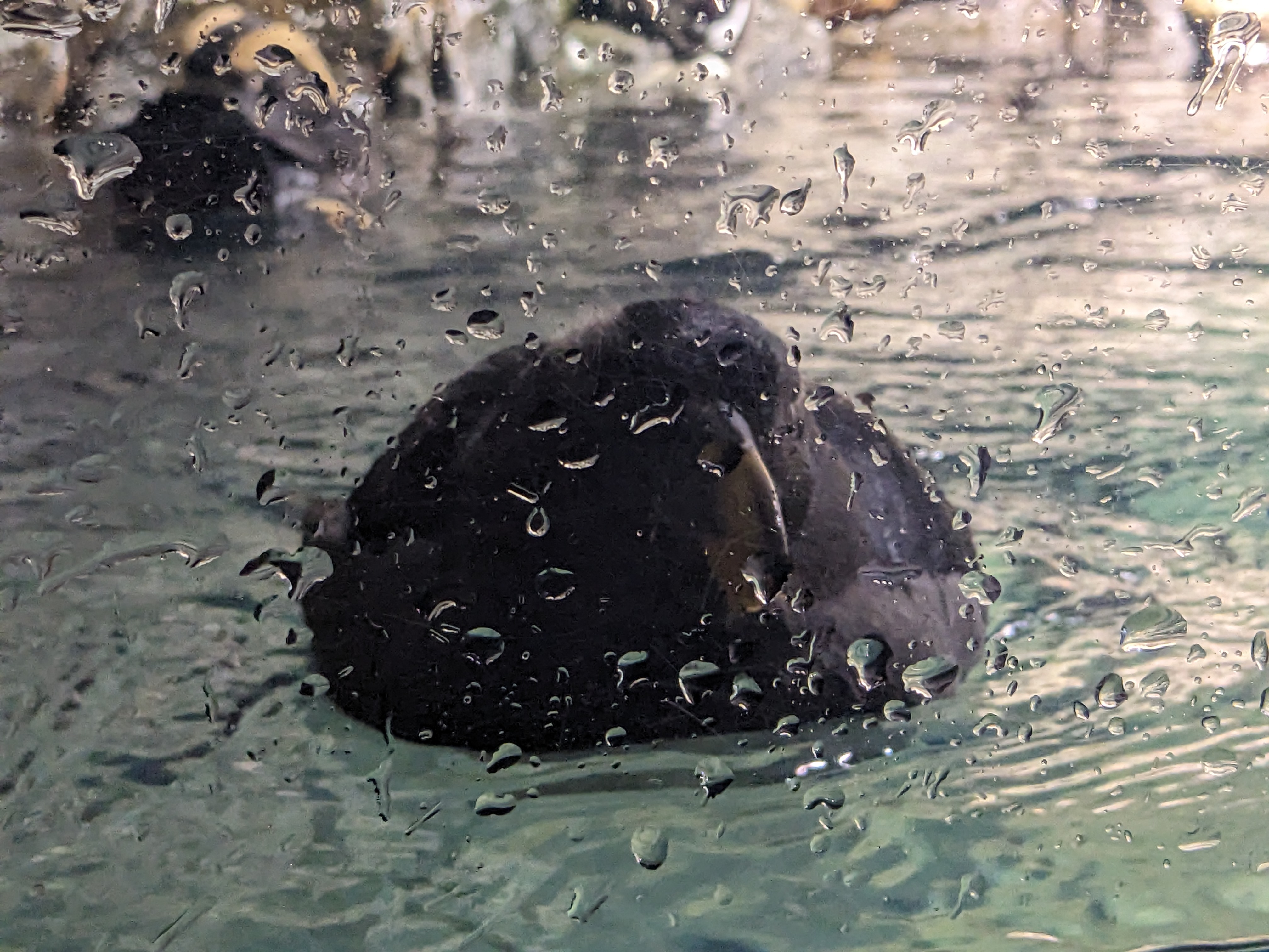 PXL 20240328 153412862