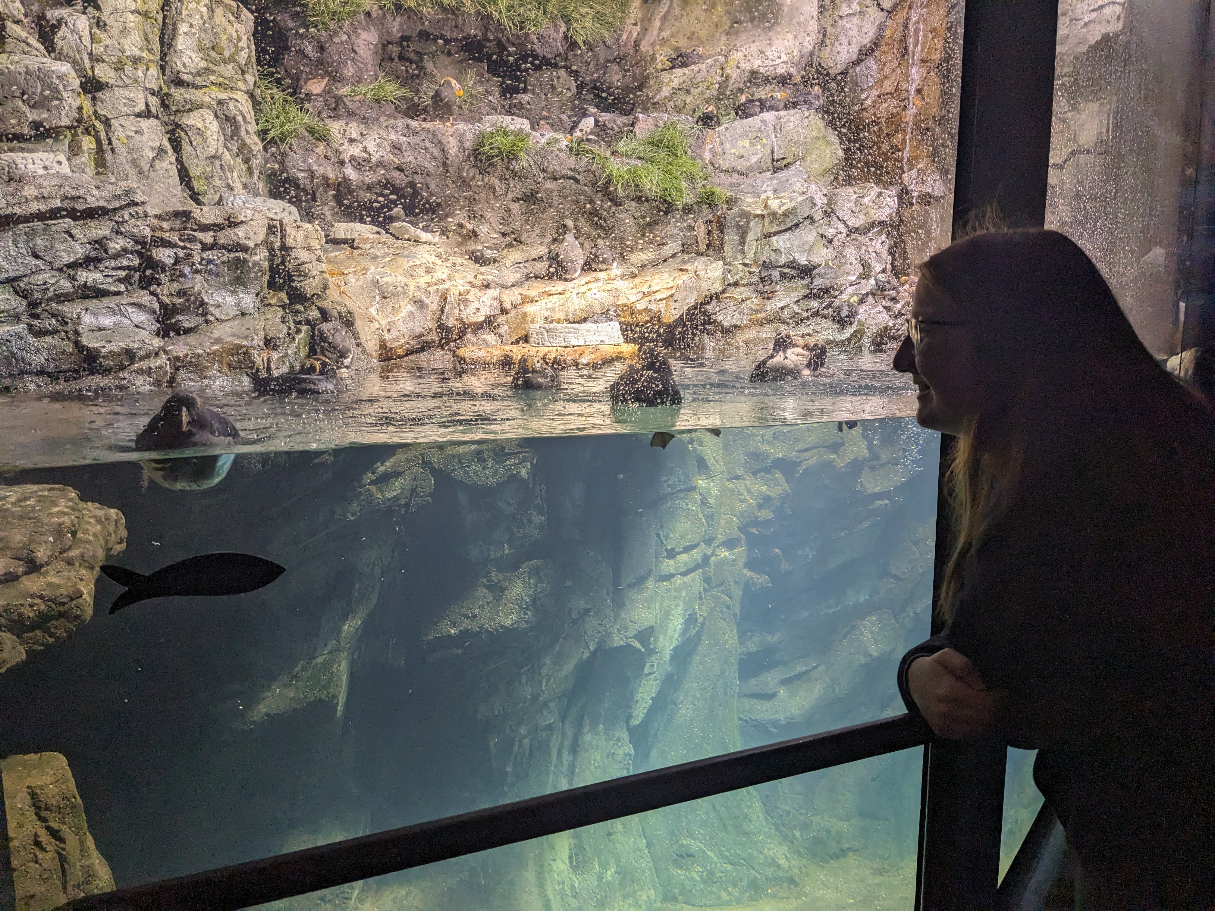 PXL 20240328 153503735