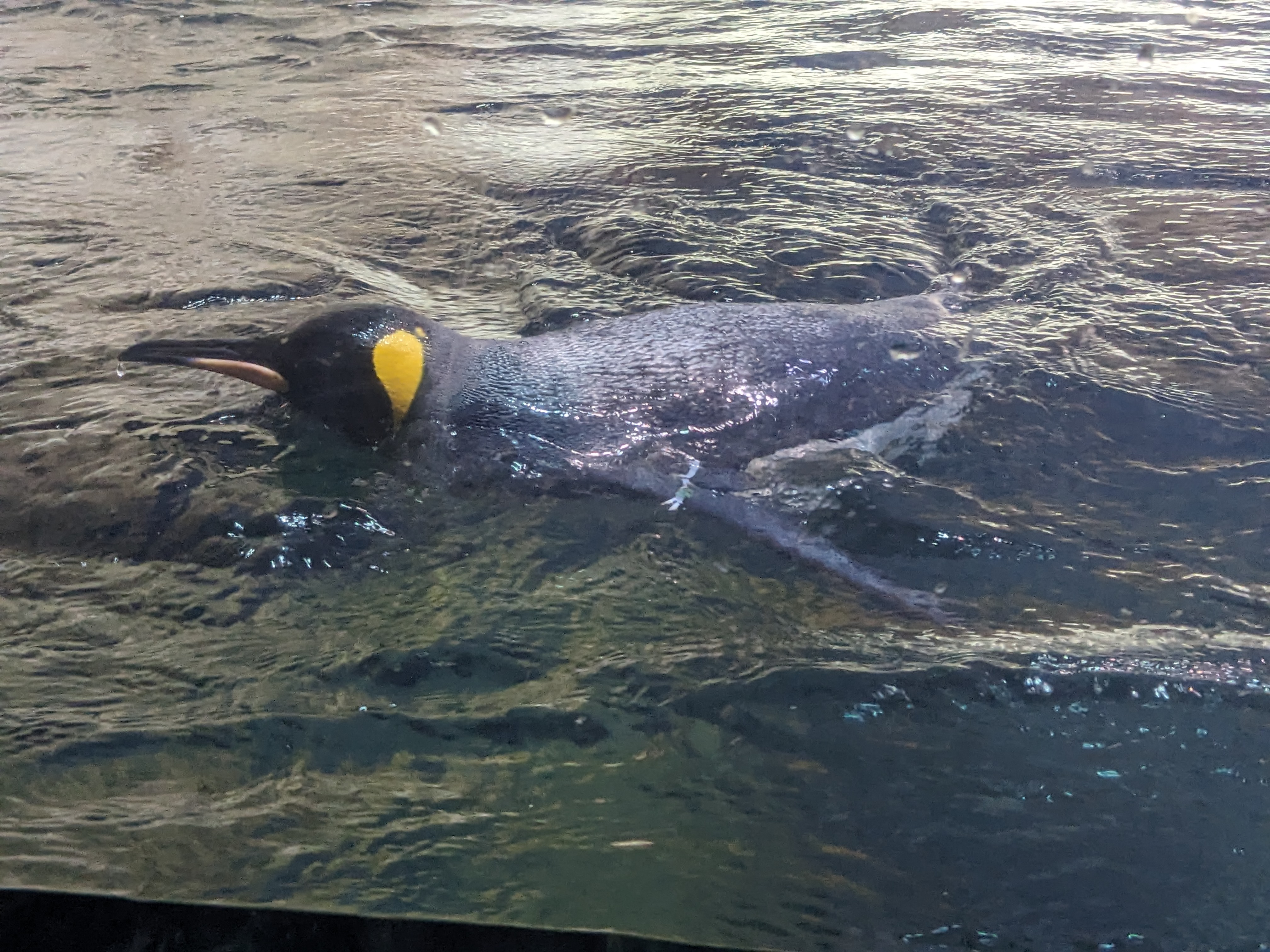 PXL 20240328 153617904