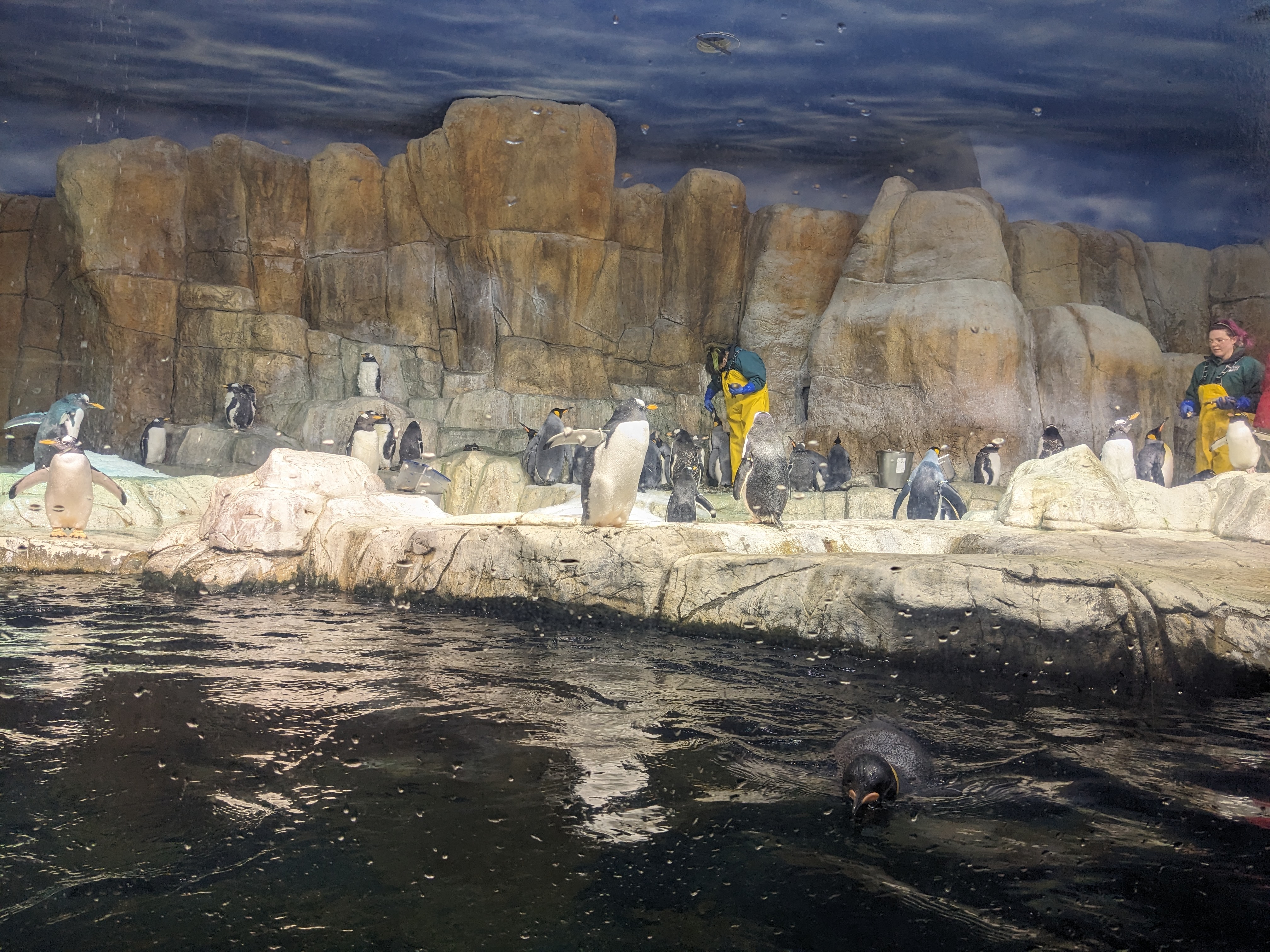 PXL 20240328 153734231