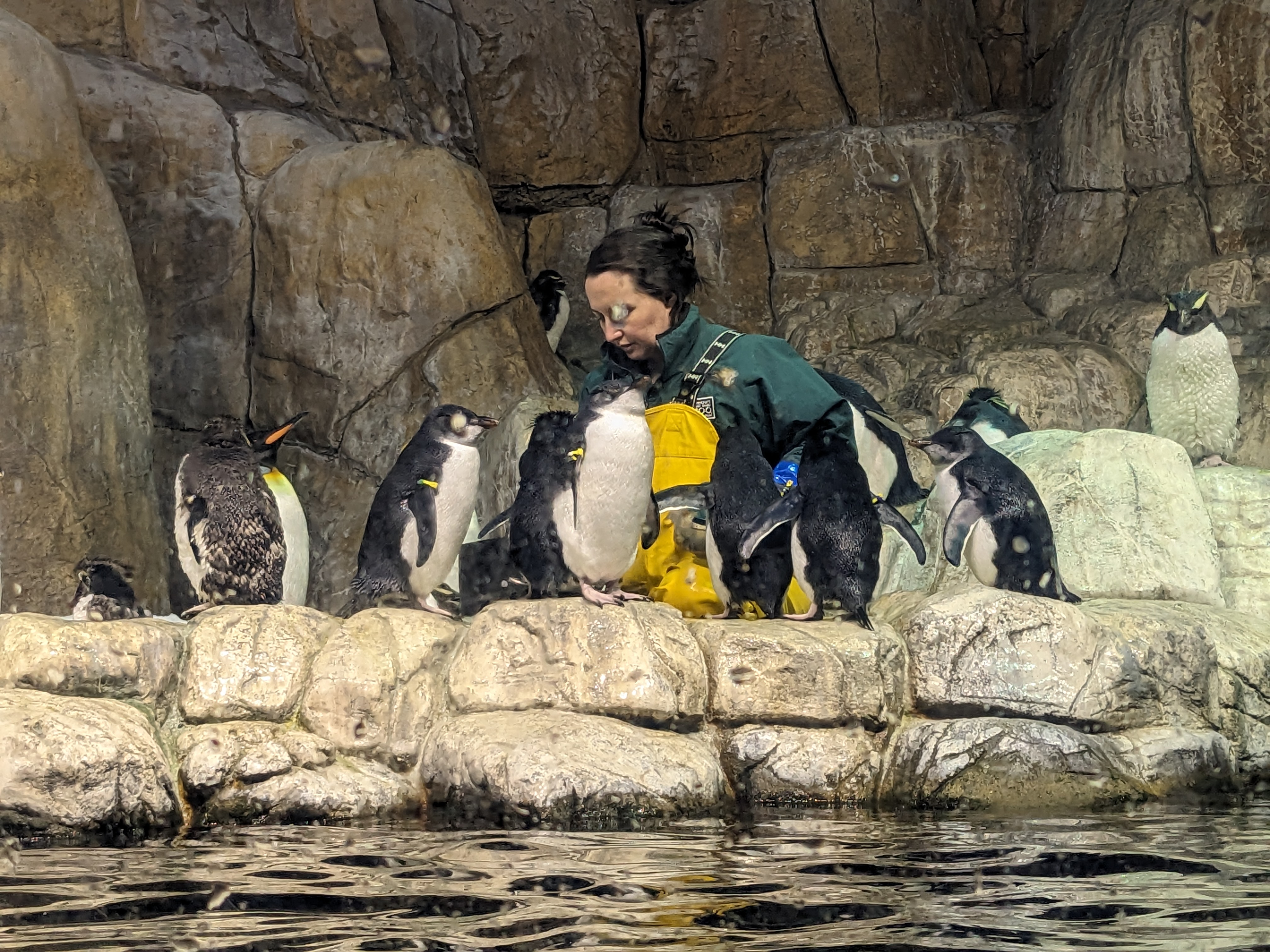 PXL 20240328 153947149