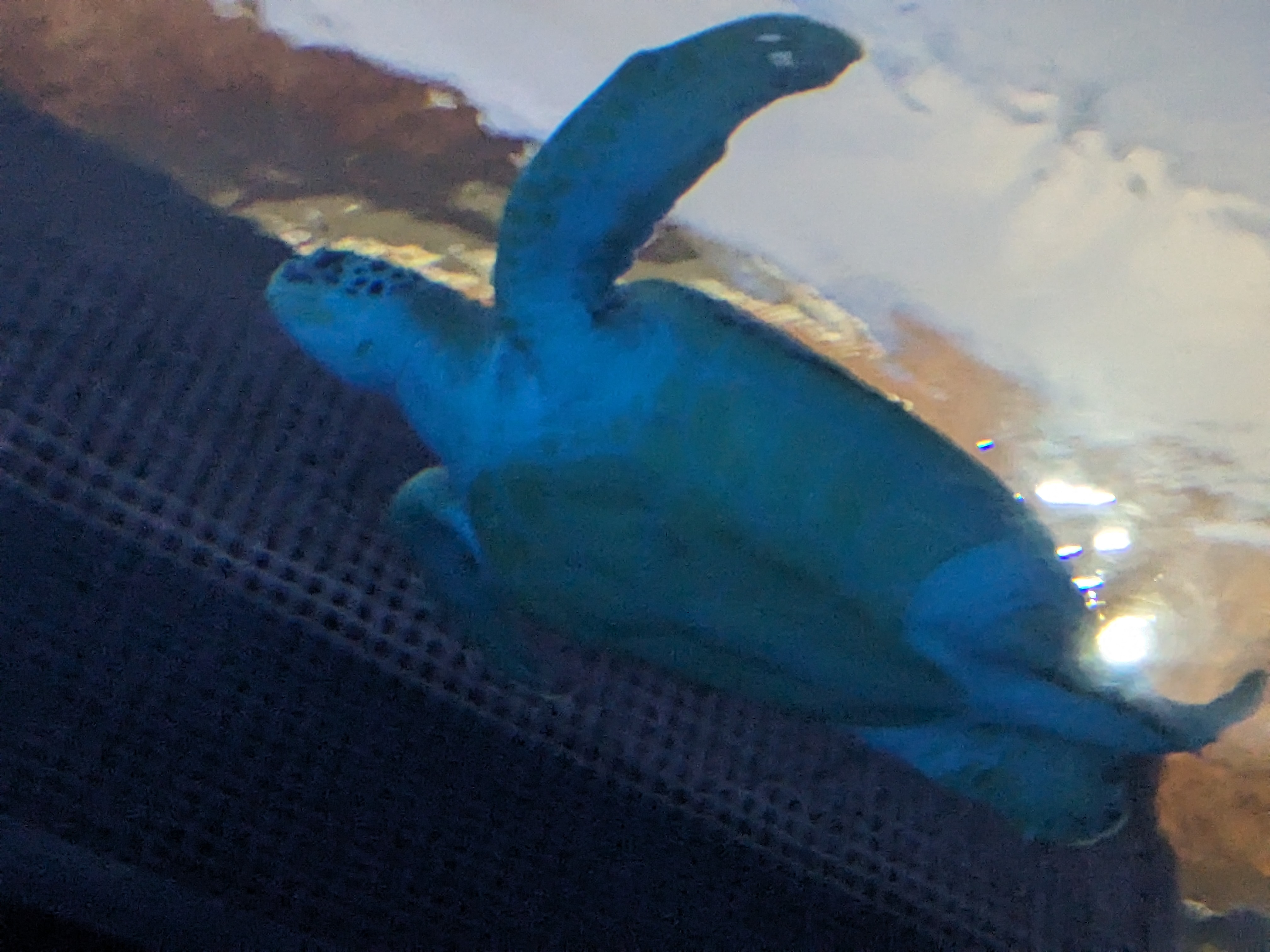 PXL 20240328 155313136