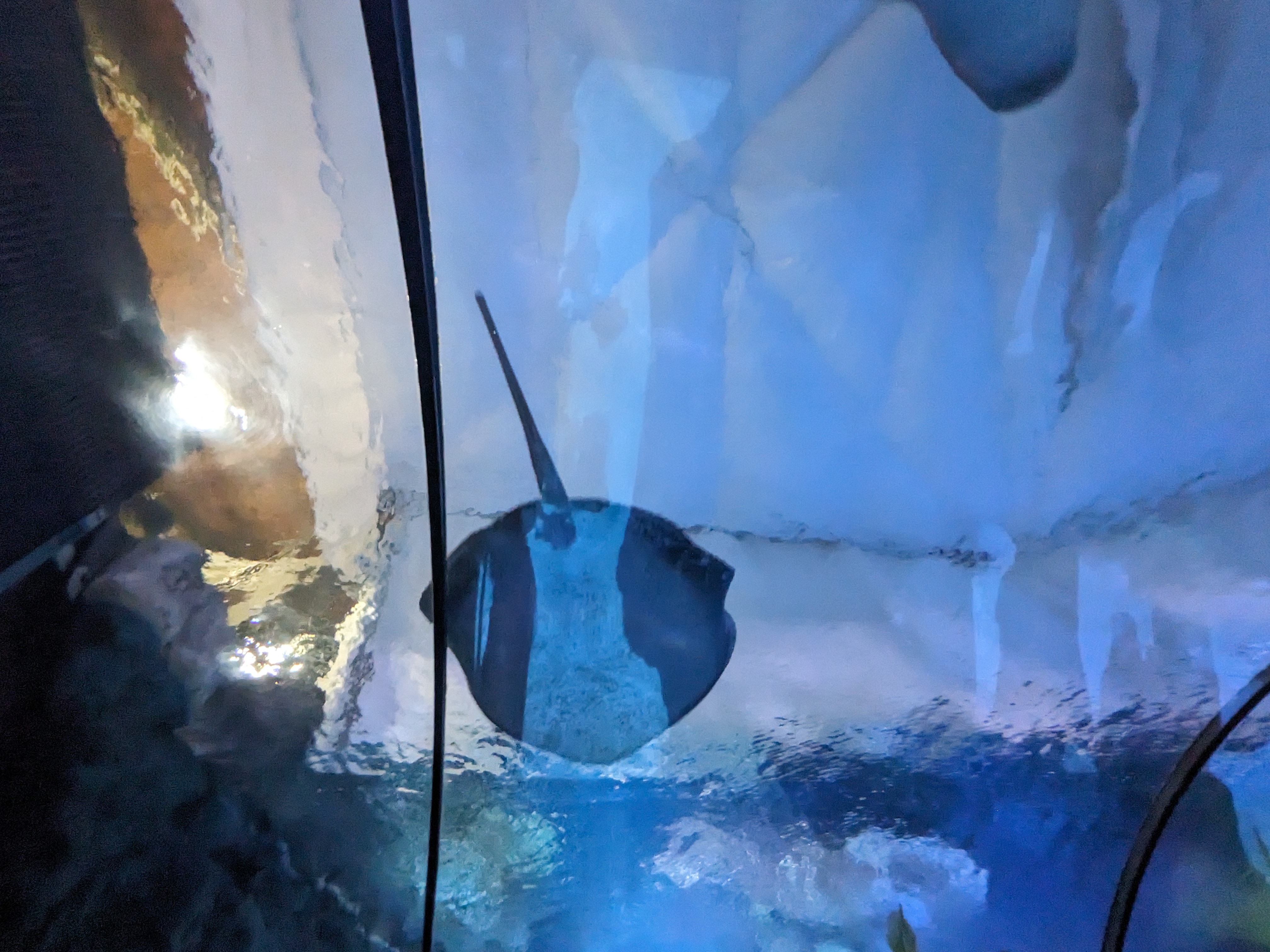 PXL 20240328 155319803