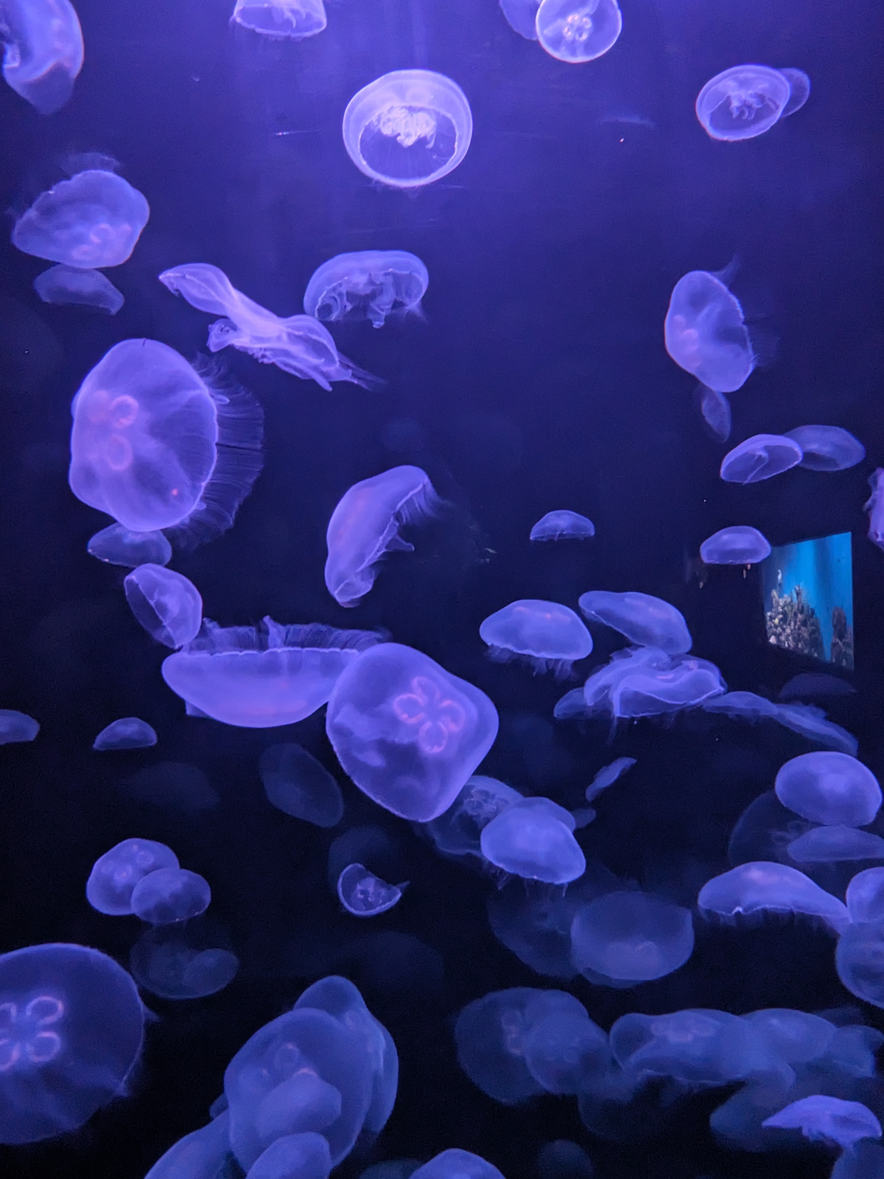 PXL 20240328 155832528